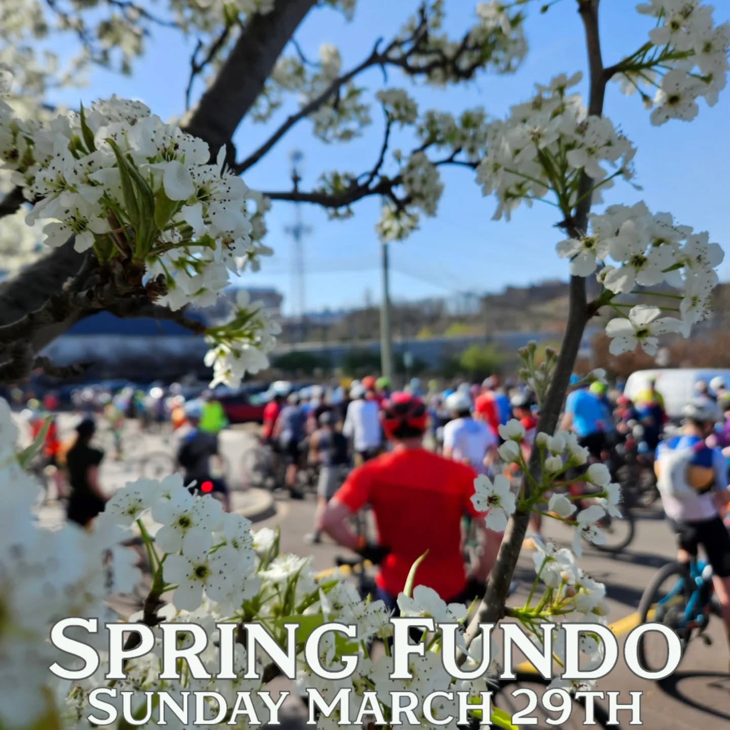 Throwback picture from our 2024 Spring Fundo. The skies were blue, the air was warm and the riding was excellent!
Hoping for a repeat this year. The Fundo will be on Sunday March 29th and we hope you can join. 
Register on our website or find a link 