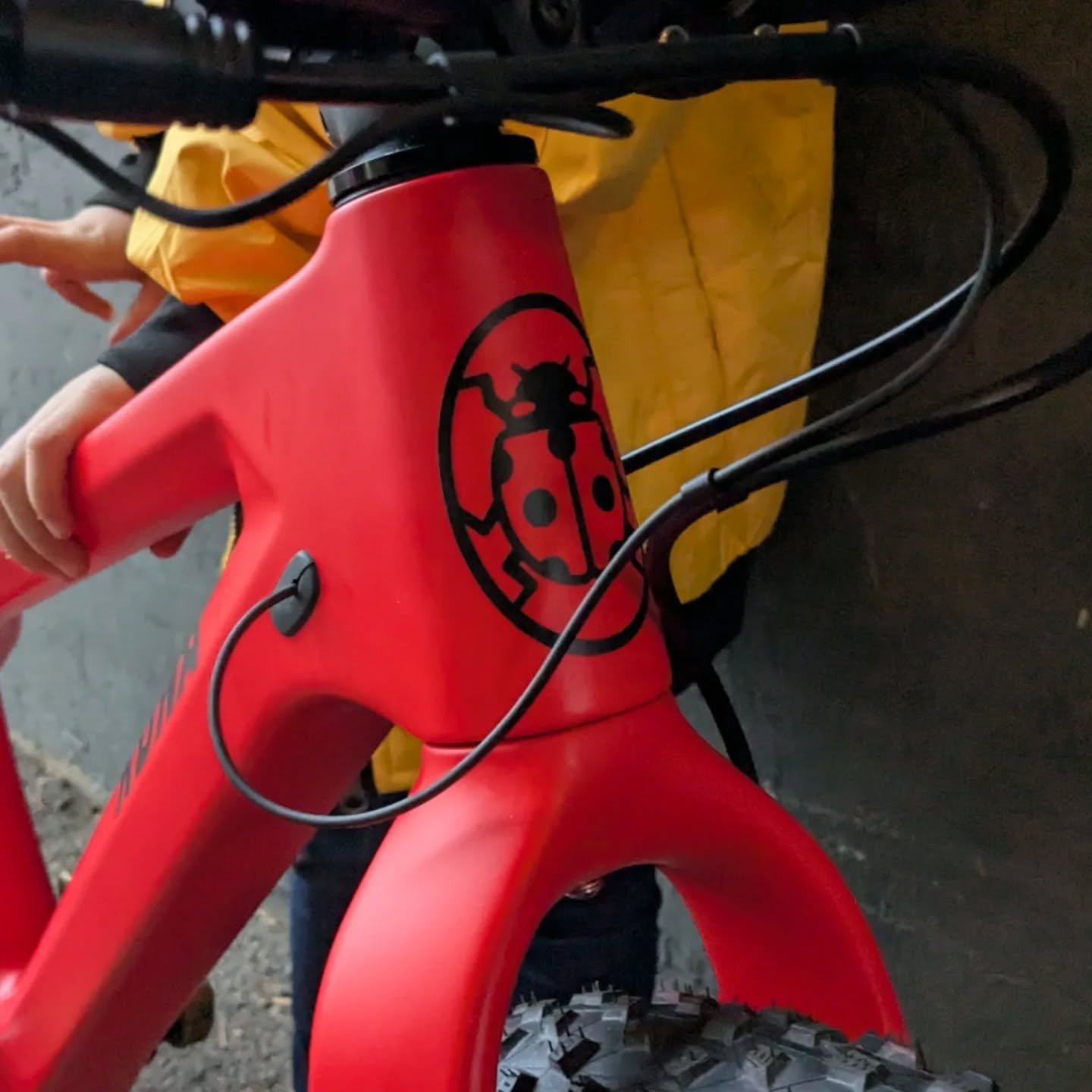 Finding the right bike for a young shredder can be a challenge. But sometimes all the pieces fall into place.
We present this masterpiece: the Meiner carbon frame/fork paired with hand built @velocityusa Cliffhanger wheels, 135mm @applemanbicycles  2