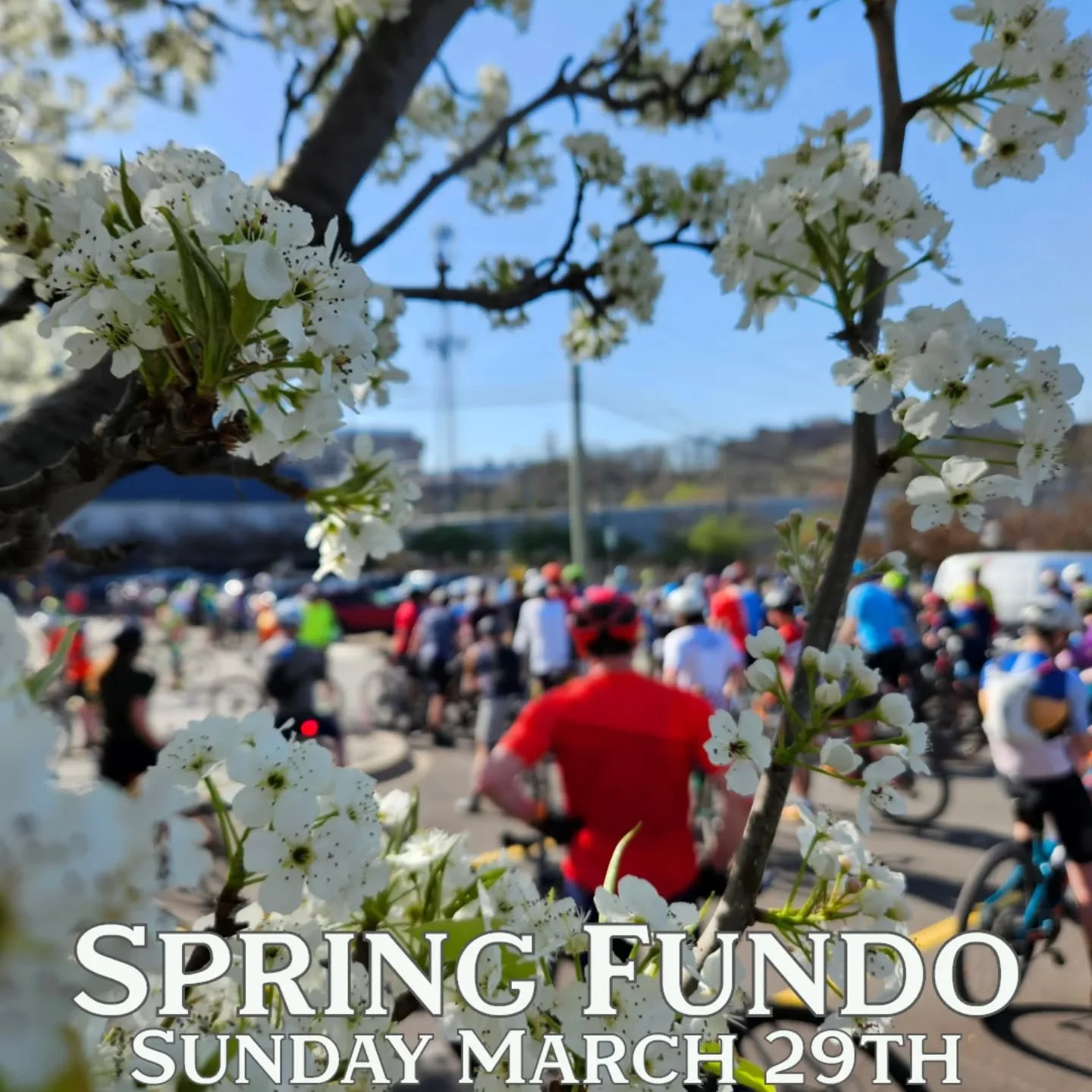Throwback picture from our 2024 Spring Fundo. The skies were blue, the air was warm and the riding was excellent!
Hoping for a repeat this year. The Fundo will be on Sunday March 29th and we hope you can join. 
Register on our website or find a link 