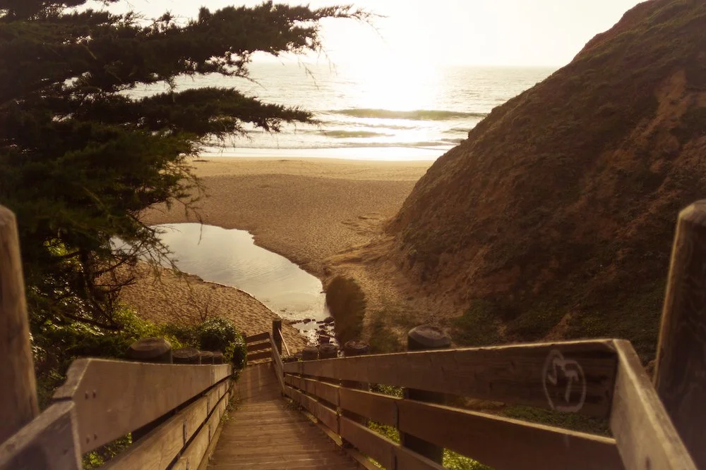 Gray Whale Cove