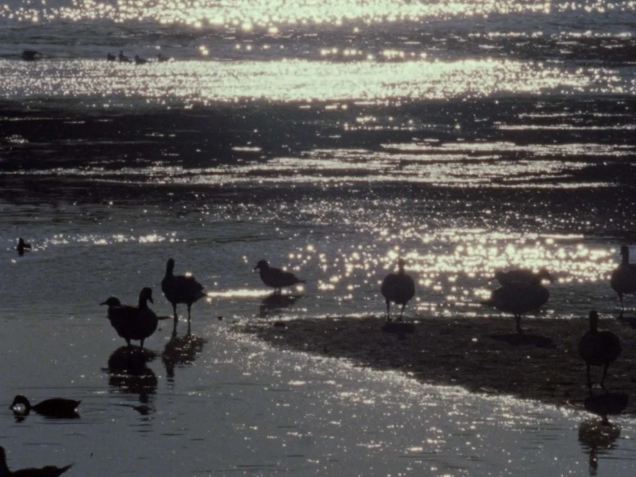 Lingering somewhere between fantasy and realism, this futuristic documentary underscores atmospheric phenomenon within mysterious environmental incongruence.