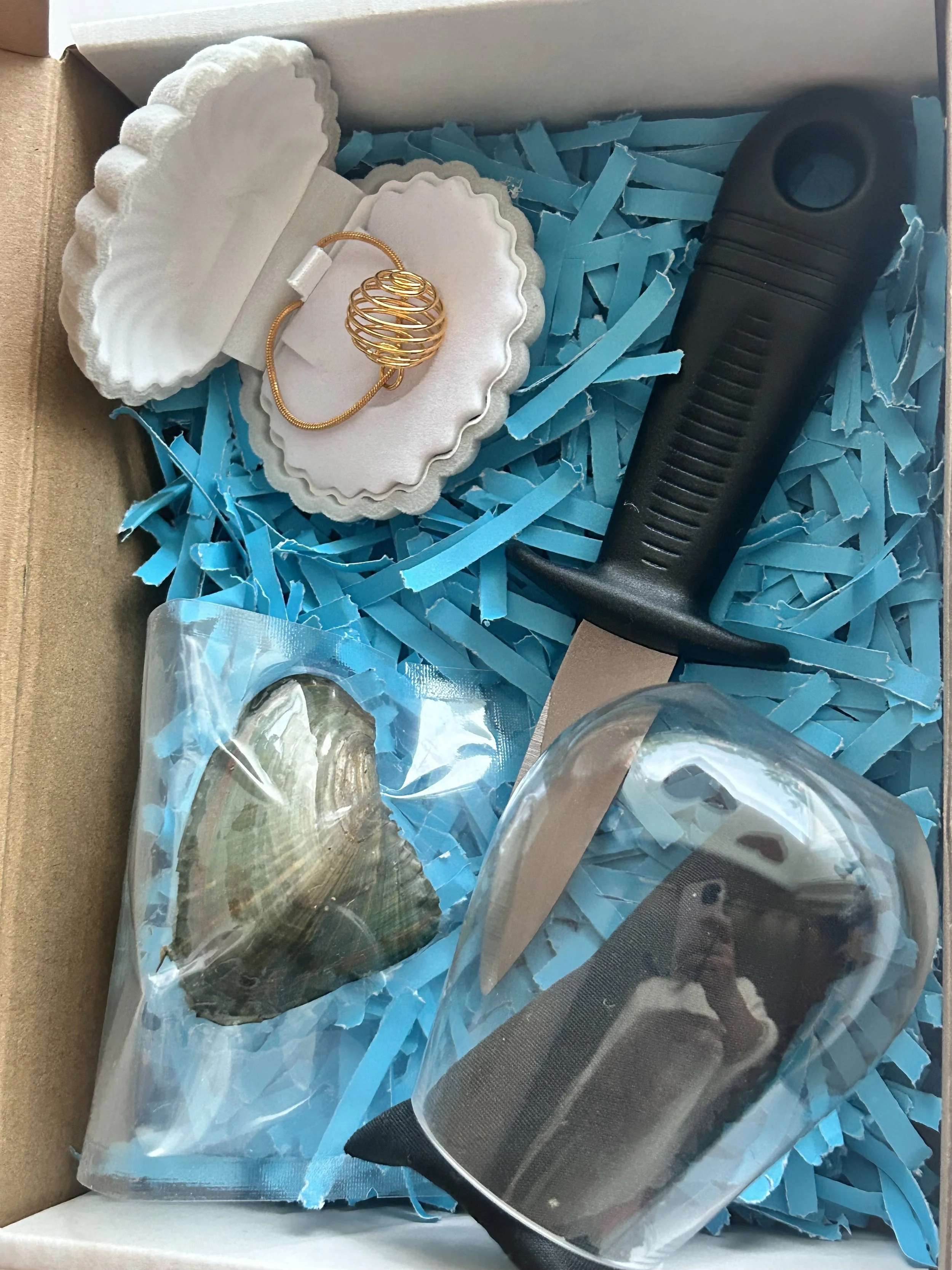 oyster box.jpg