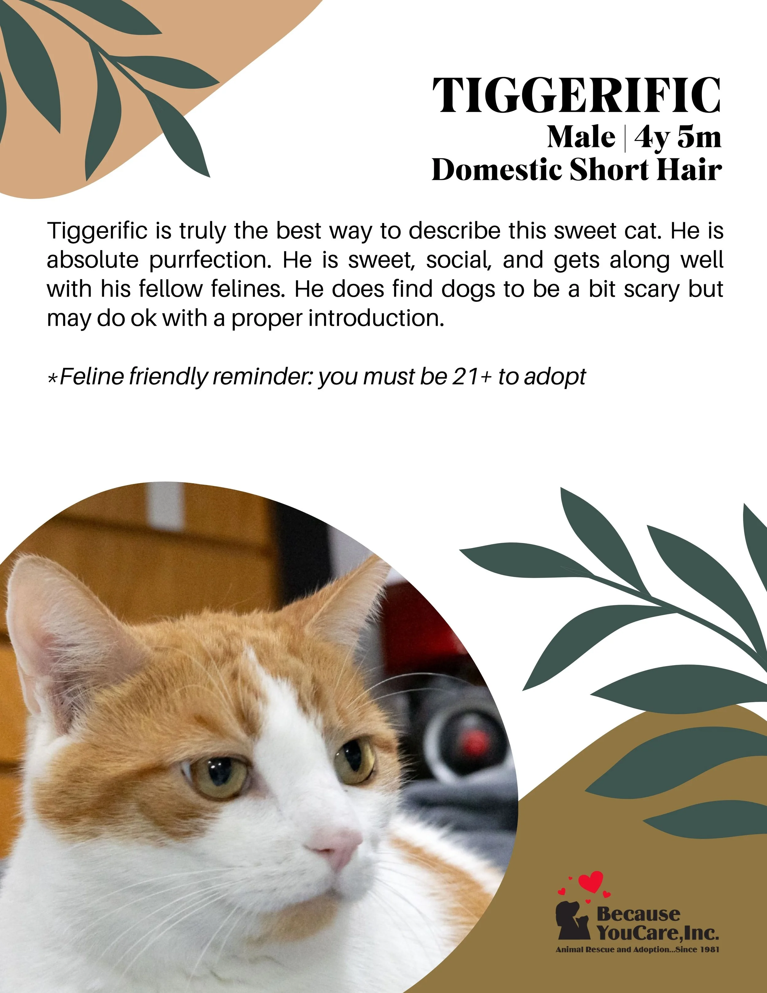 Click on the photo to head to the application page!