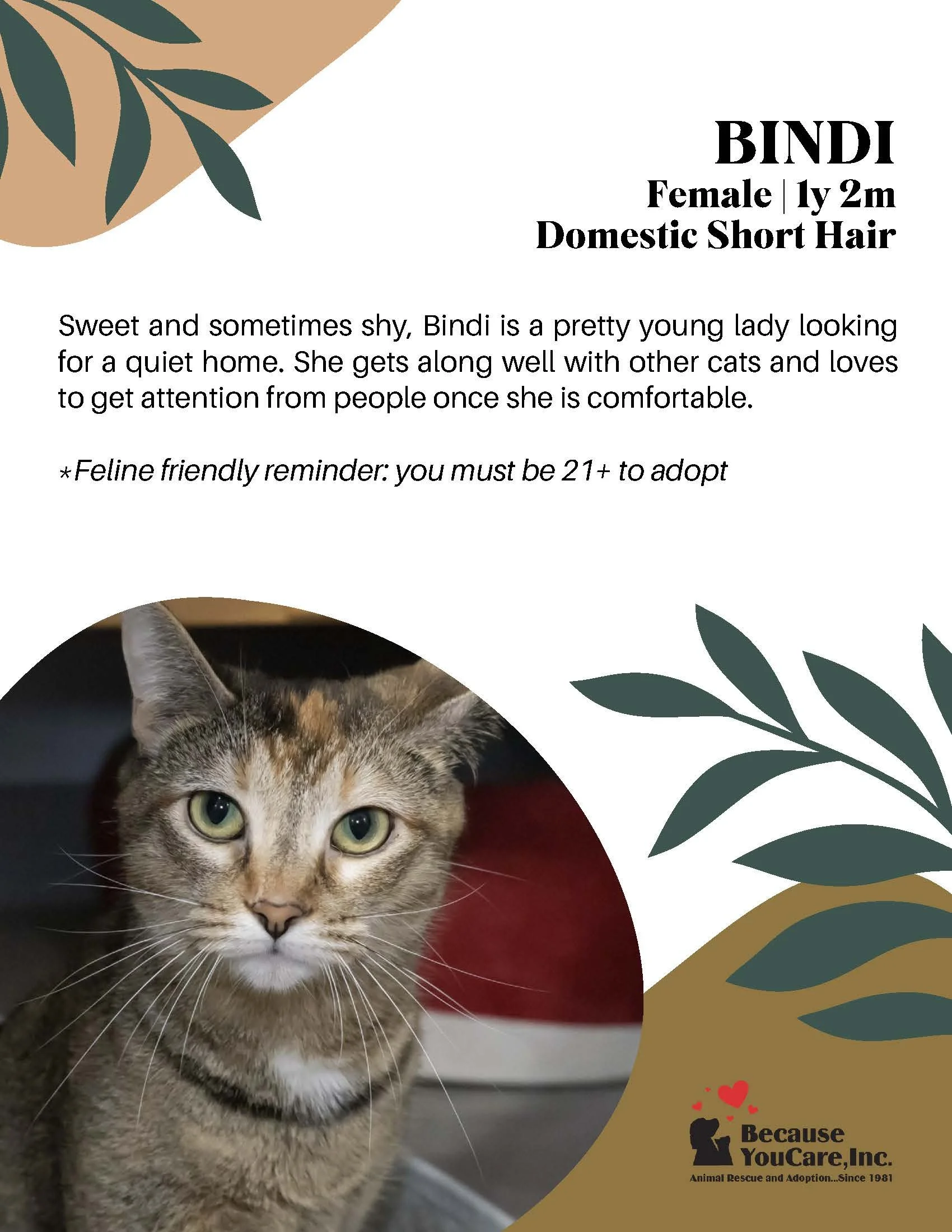 Adoption fee waived!