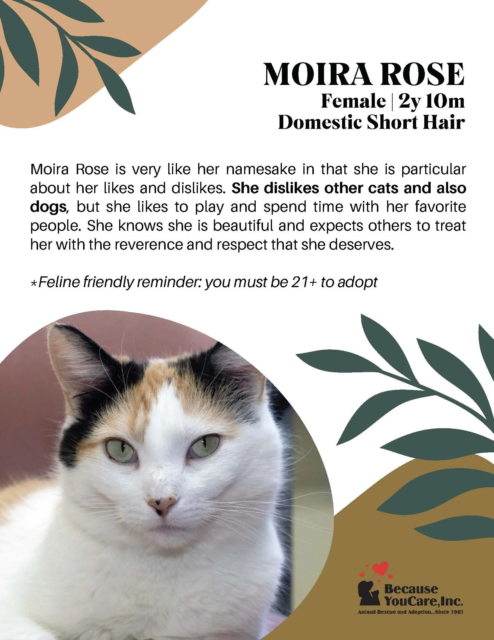 Adoption fee waived!