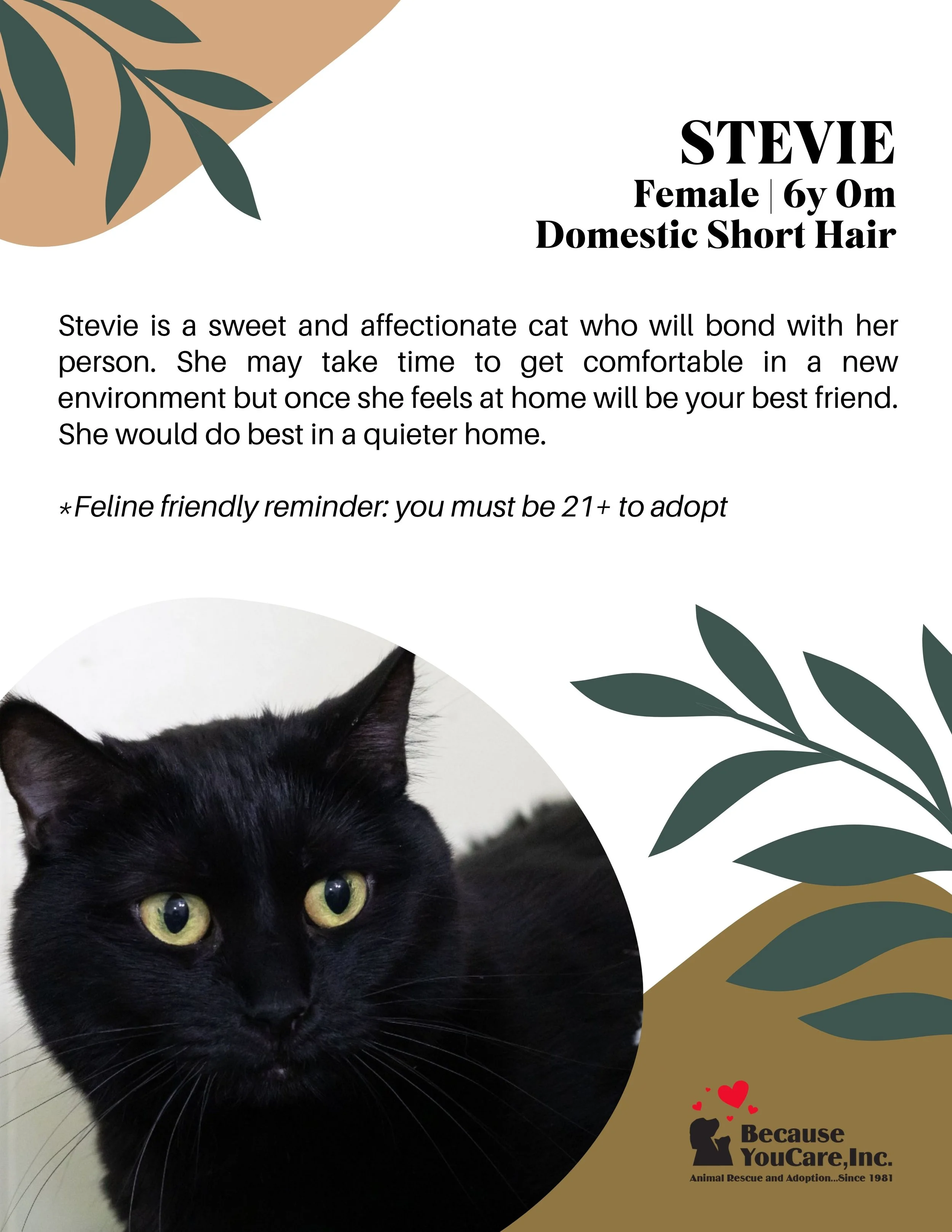 Click on the photo to head to the application page!