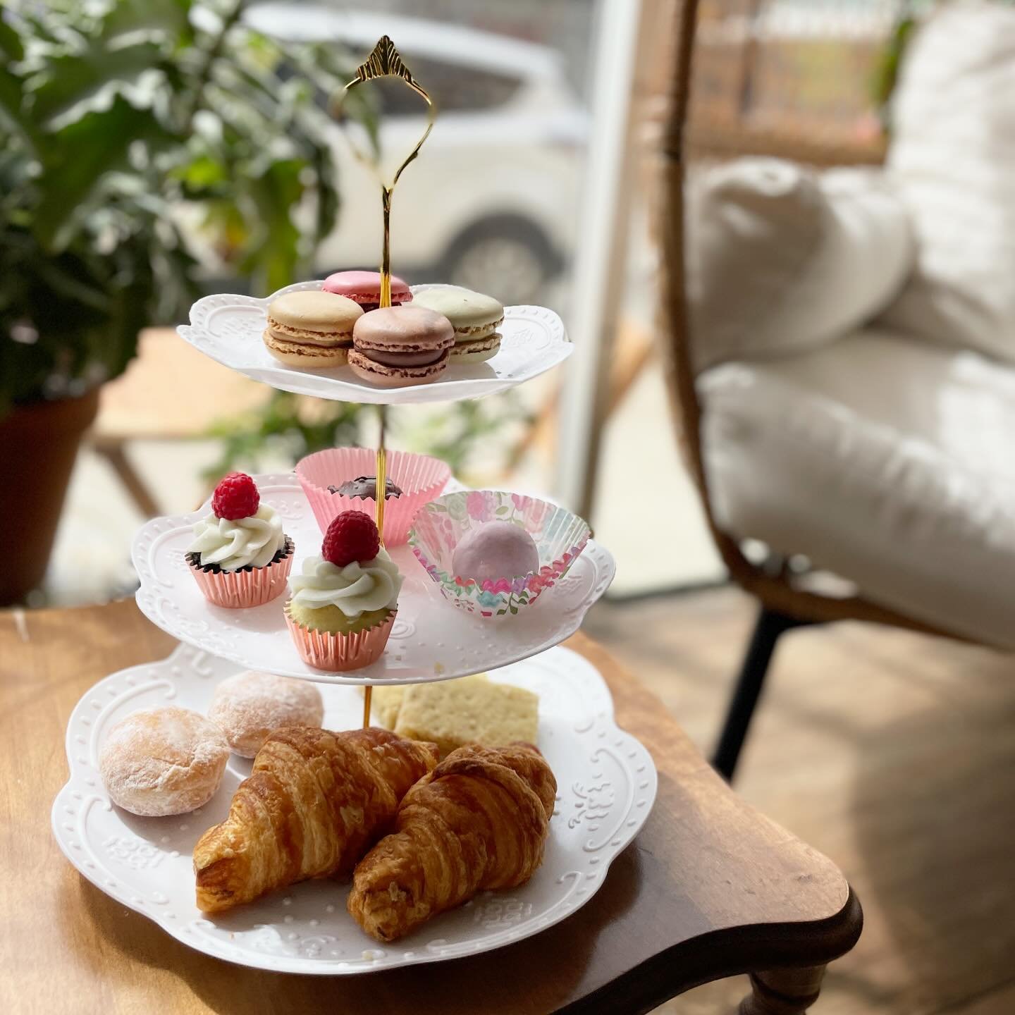 Let Purrista Cat Cafe treat you and your Mom or loved one to our 3rd Annual Kit-TEA Party in the Cat Lounge!

The cost of $75.00 includes 2 ppl enjoying 90 minutes together in the cat lounge with a three-tiered tray full of mini croissants, truffles,