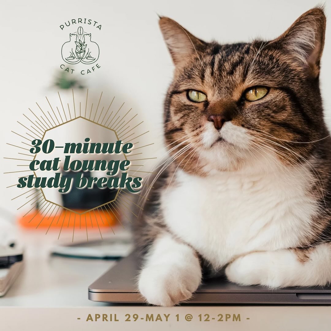 It's that time of year! Student finals are upon us and we're offering free 1/2 hour cat lounge breaks 📚

Today, tomorrow and Wednesday from Noon-2pm, College students can stop by for some kitty animal therapy. First come, first serve and must presen