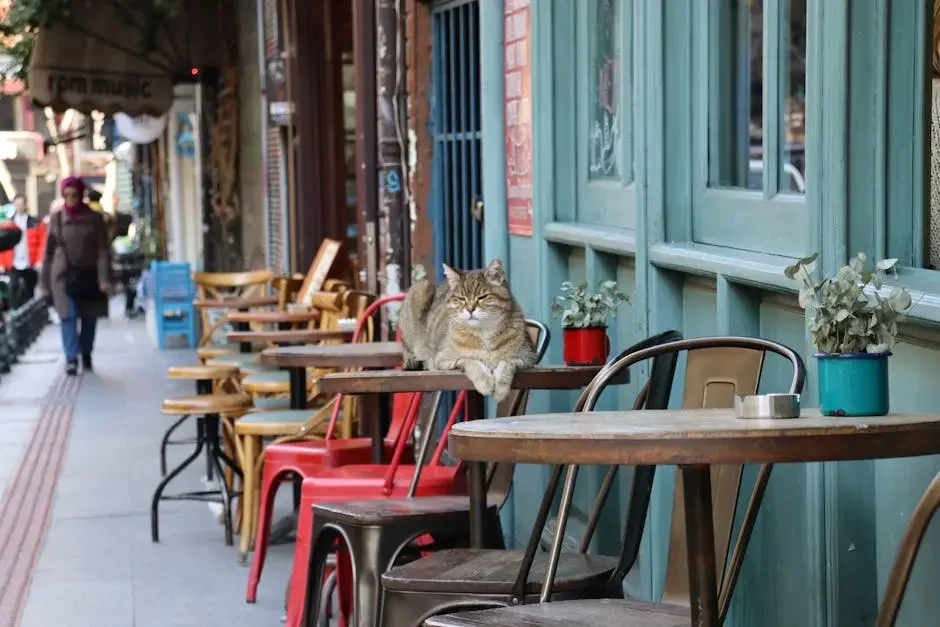 Discover the Perfect Blend of Feline Friends and Coffee: Things to Do in Erie PA