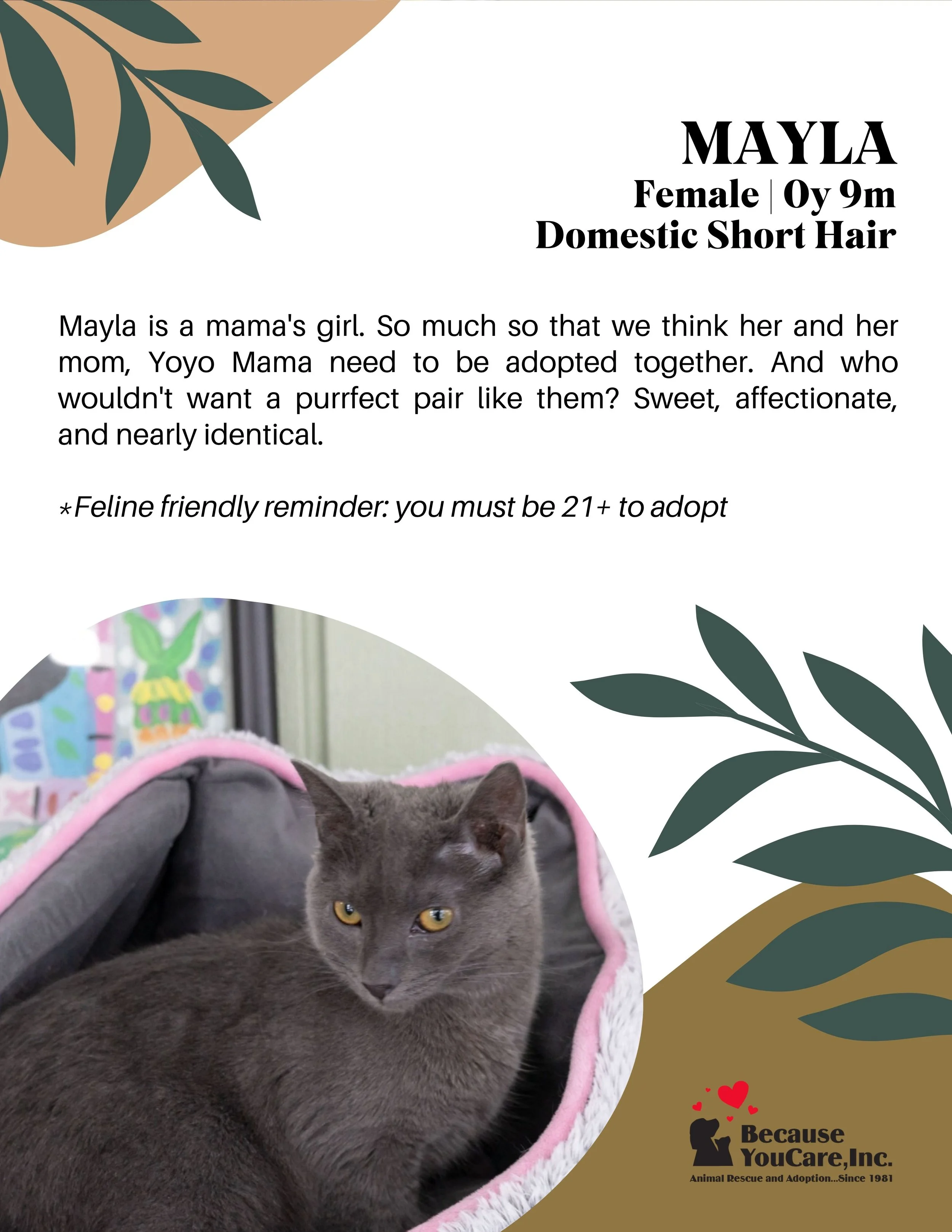 *BONDED* Click on the photo to head to the application page!