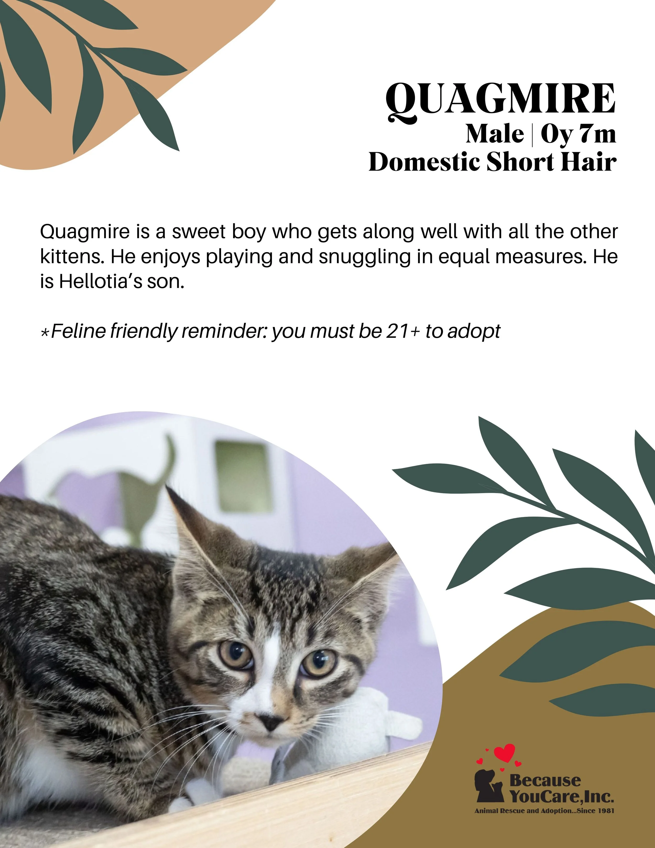 Click on the photo to head to the application page!