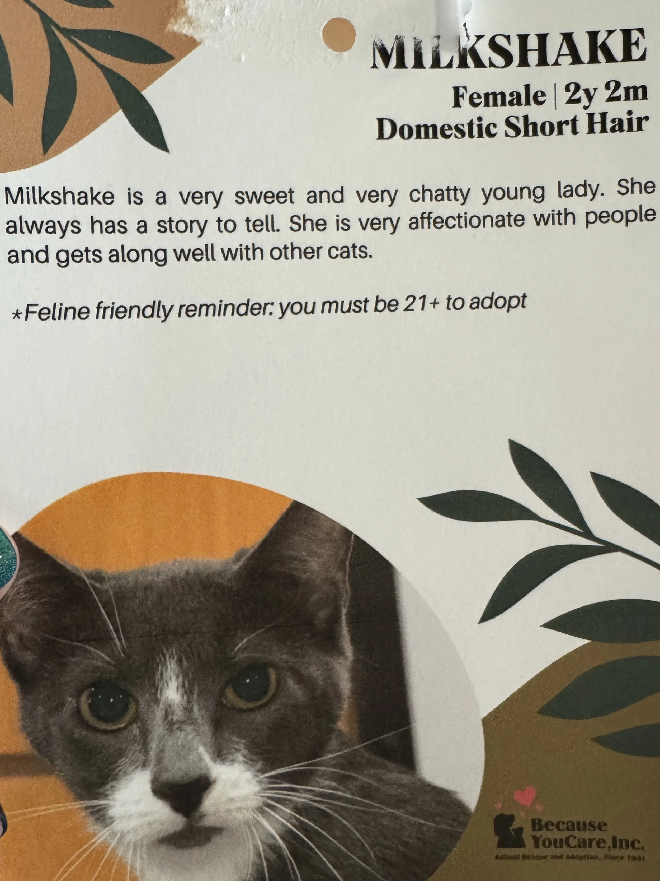 SPONSORED! Available for adoption - free to an approved home.