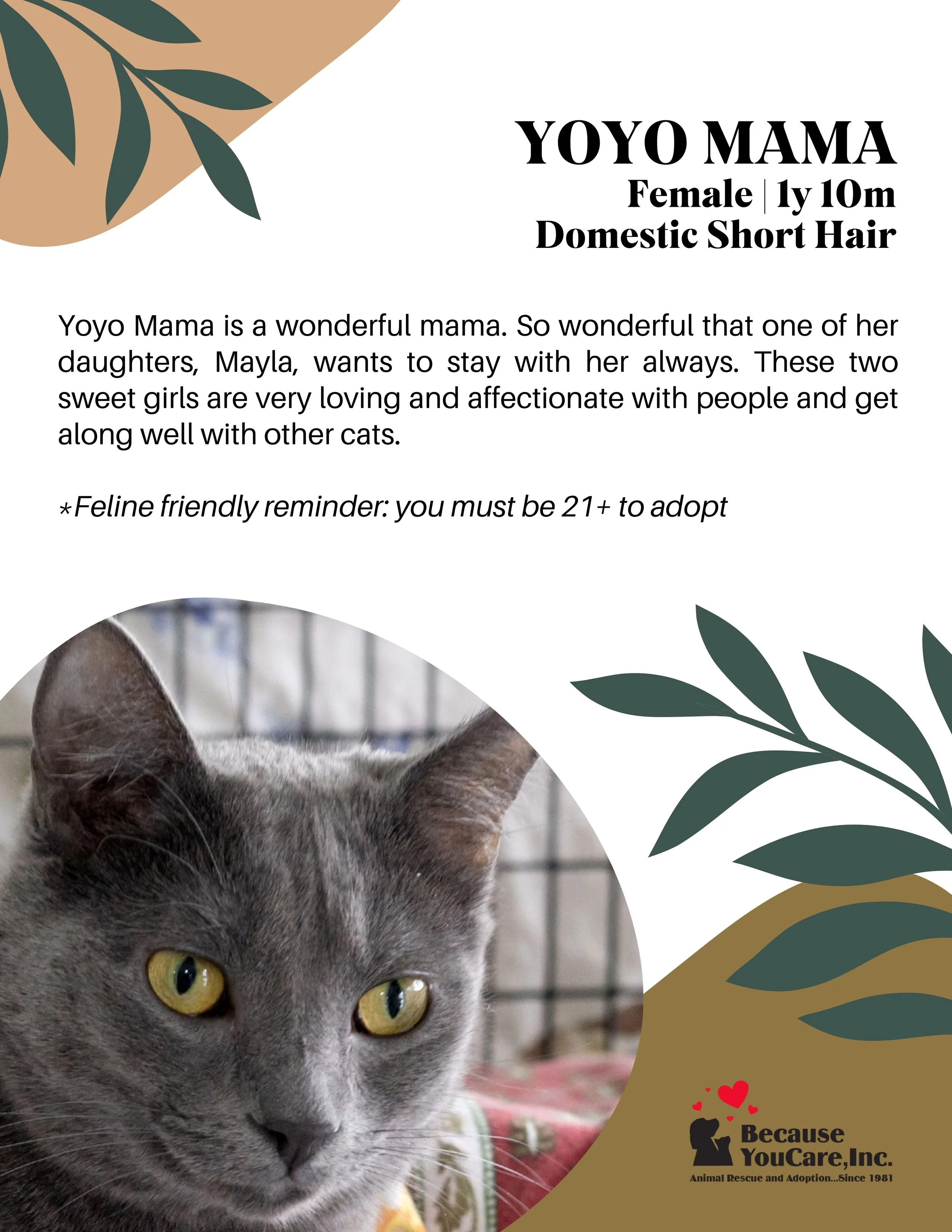 *BONDED* Click on the photo to head to the application page!