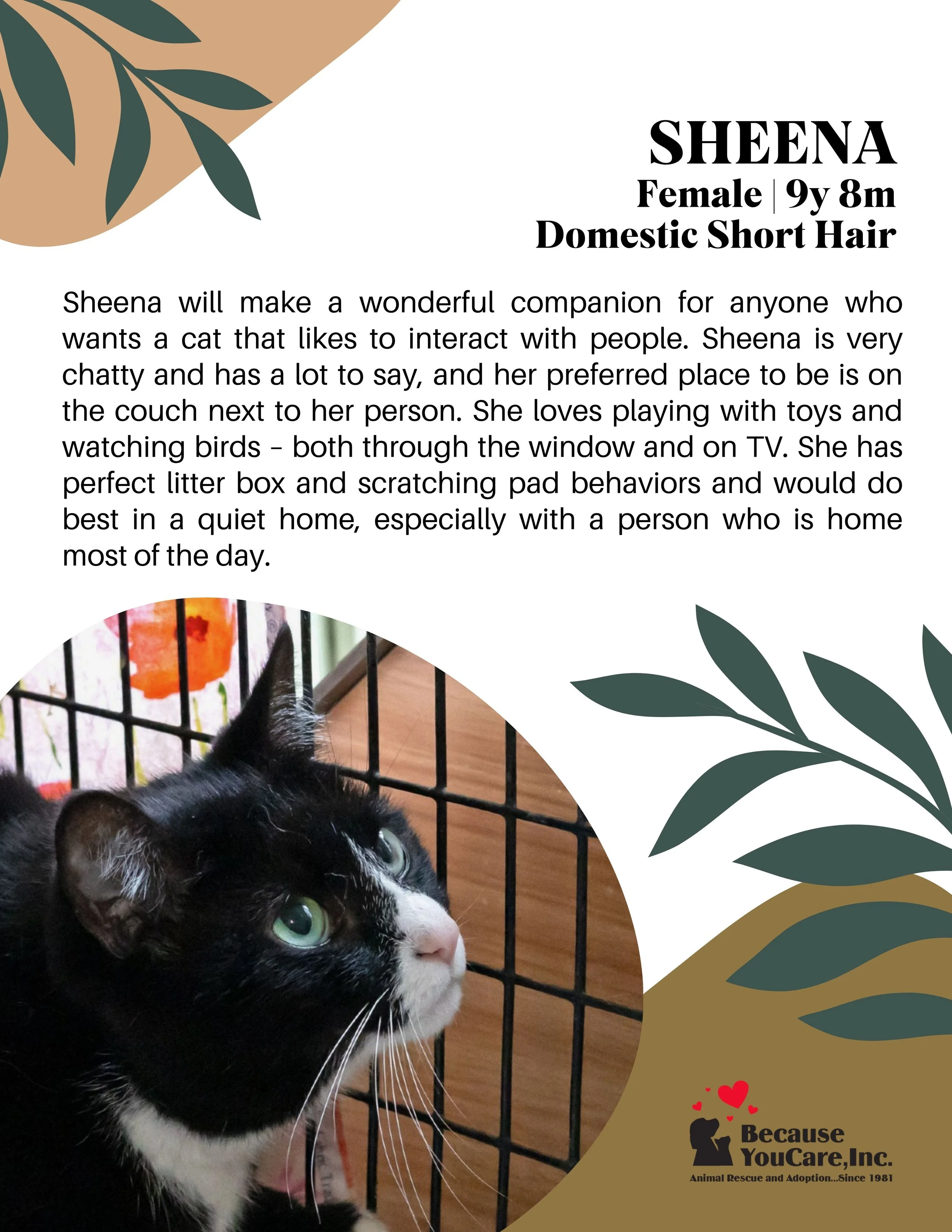 Adoption fee waived!