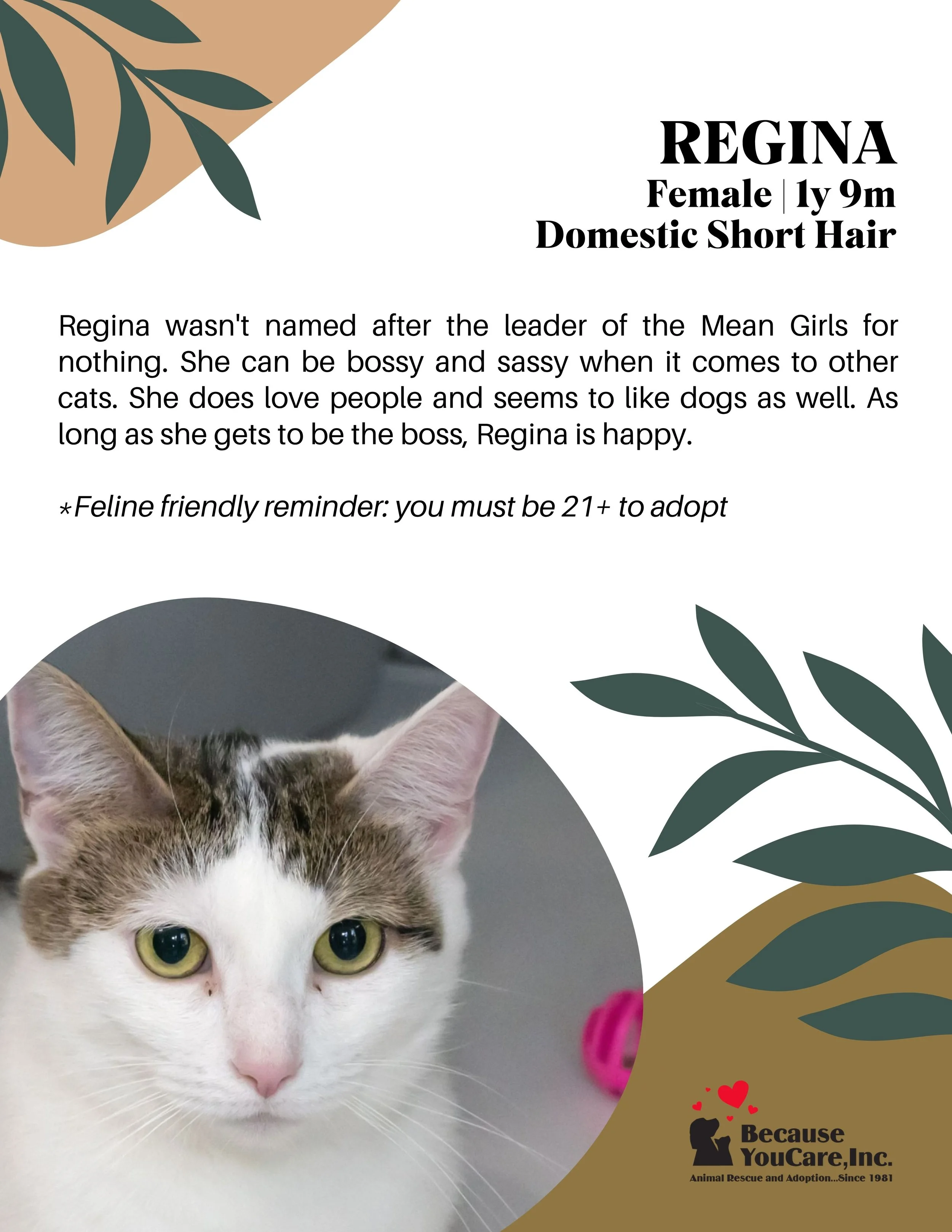 Adoption fee waived!