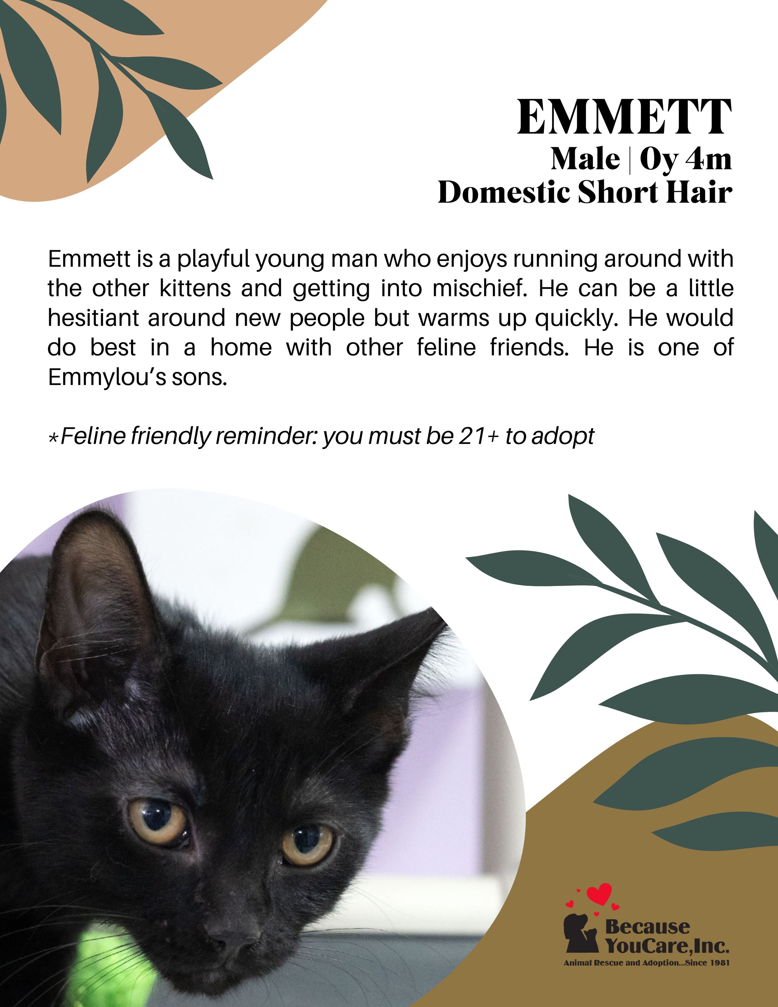 Click on the photo to head to the application page!