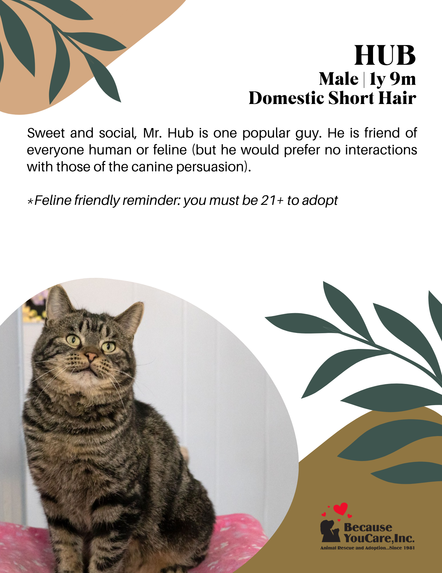 Click on the photo to head to the application page!