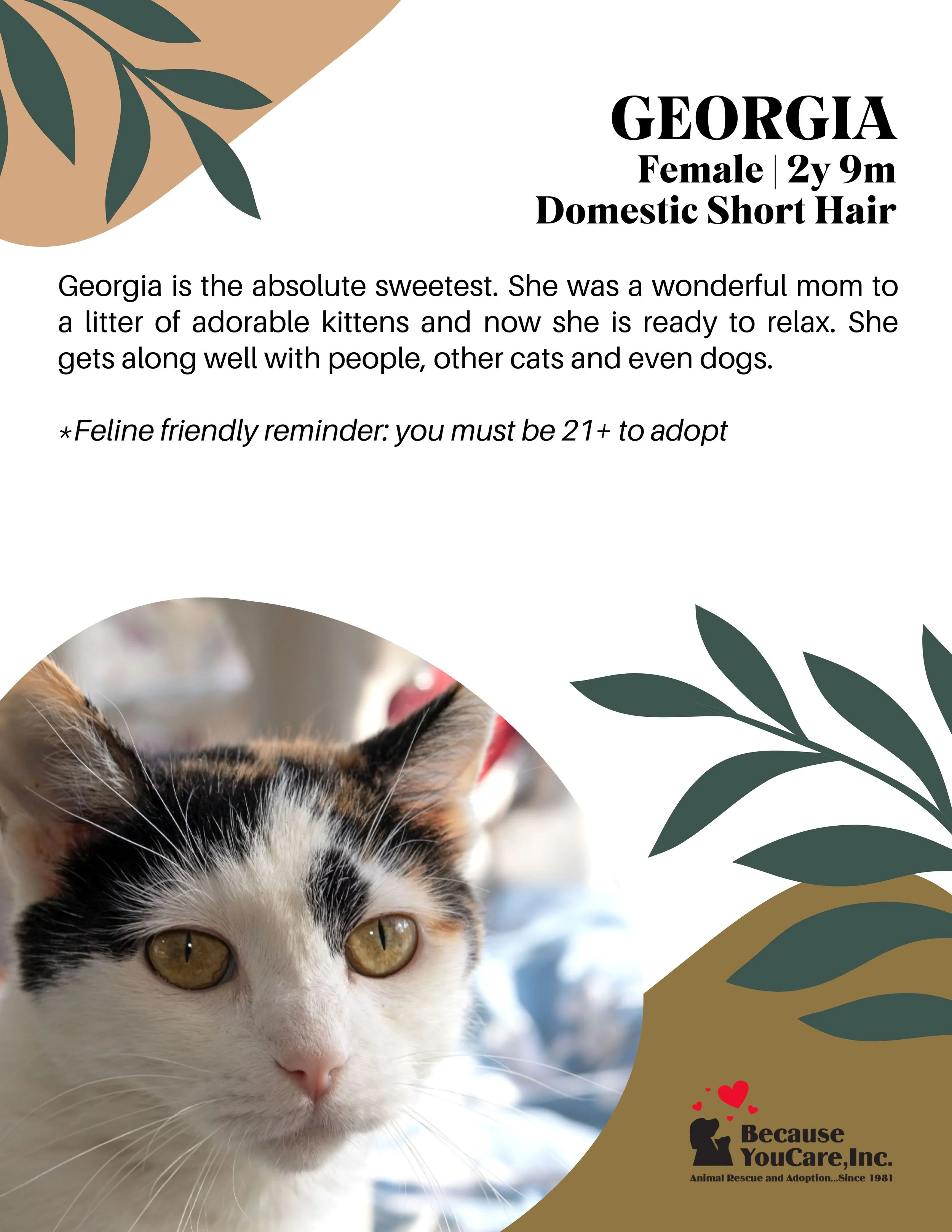 Click on the photo to head to the application page!