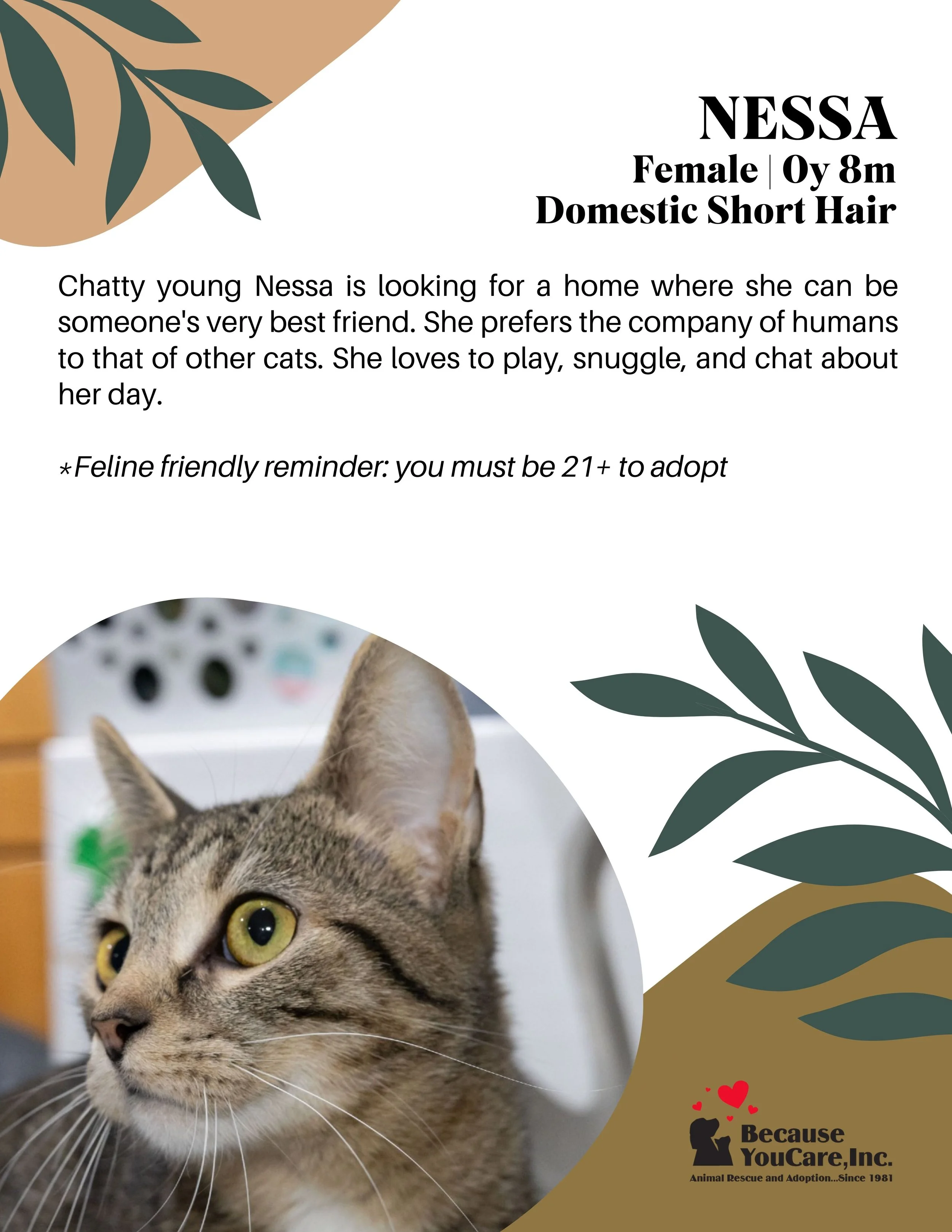 Click on the photo to head to the application page!