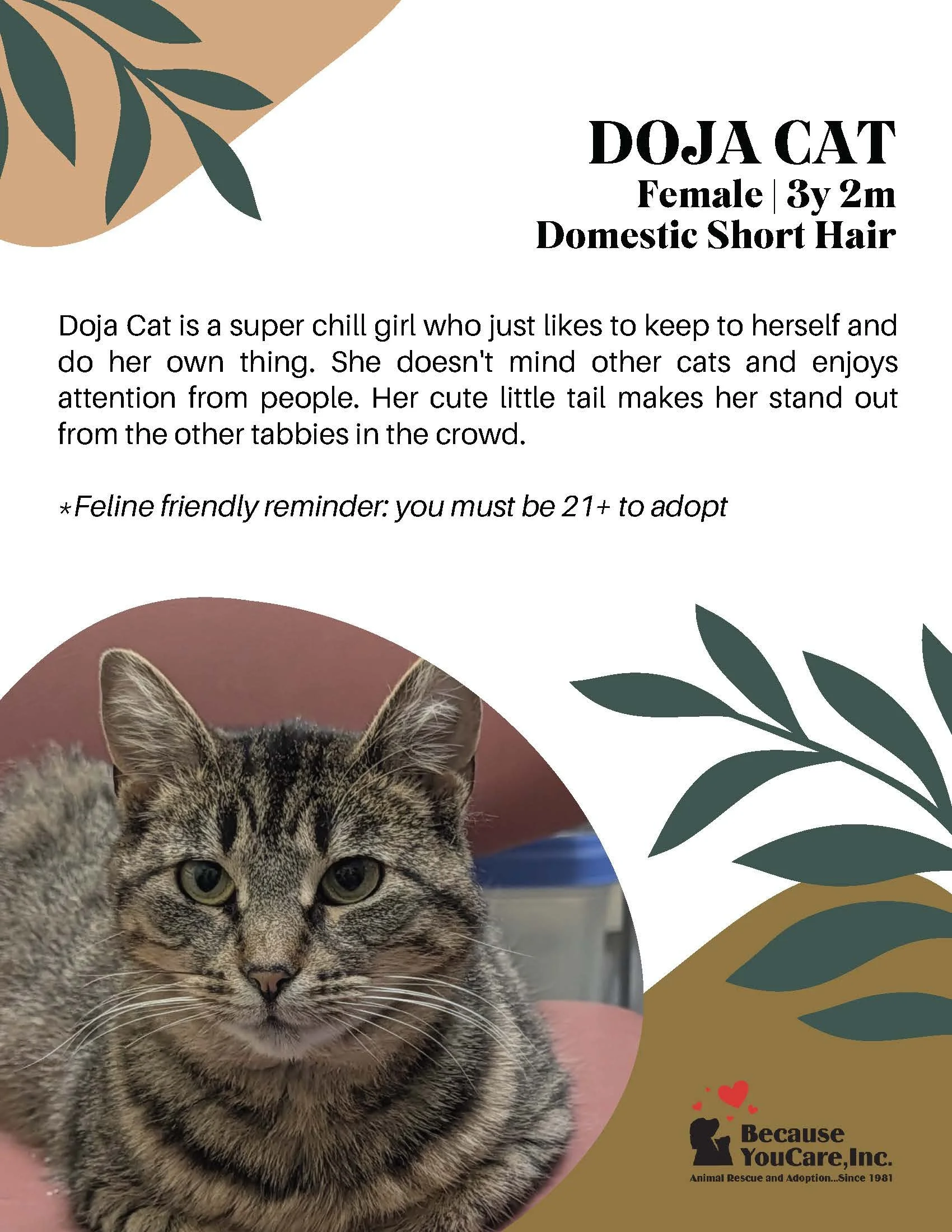Adoption fee waived!