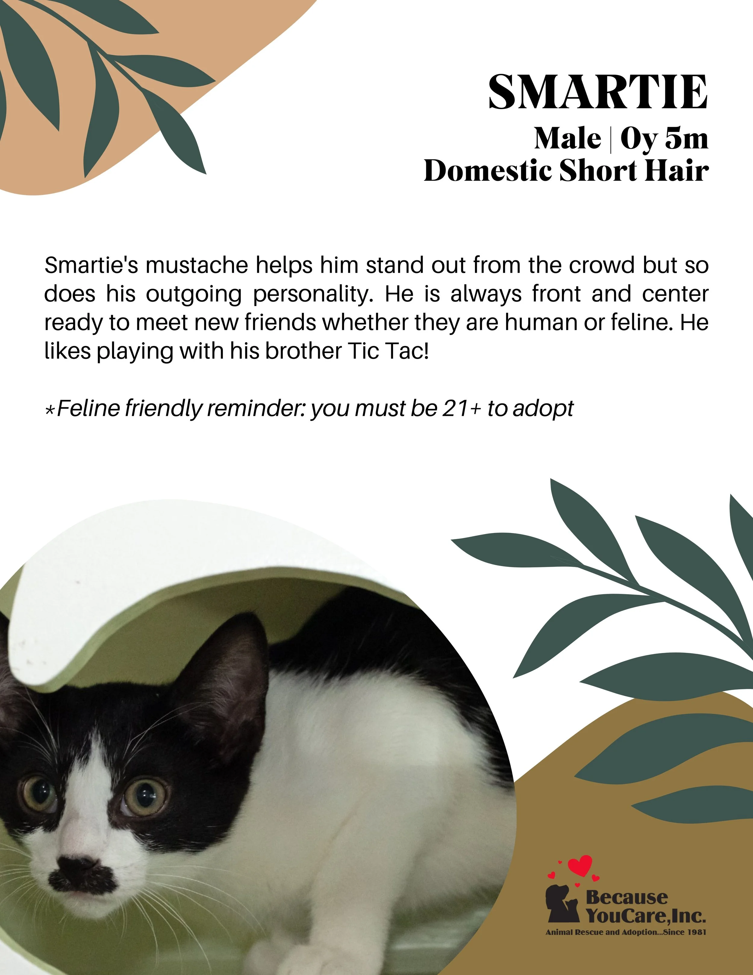 Click on the photo to head to the application page!