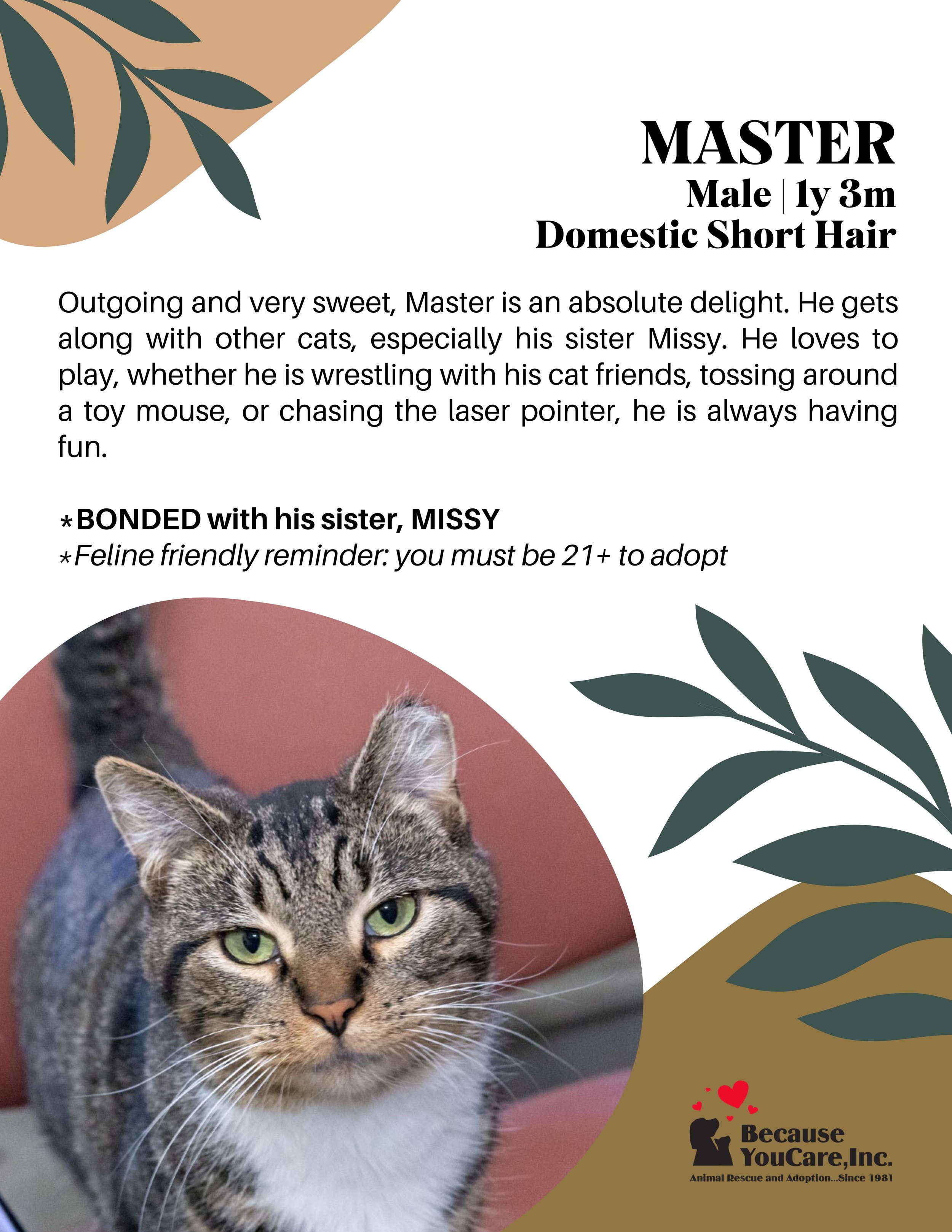 BONDED * Click on the photo to head to the application page!