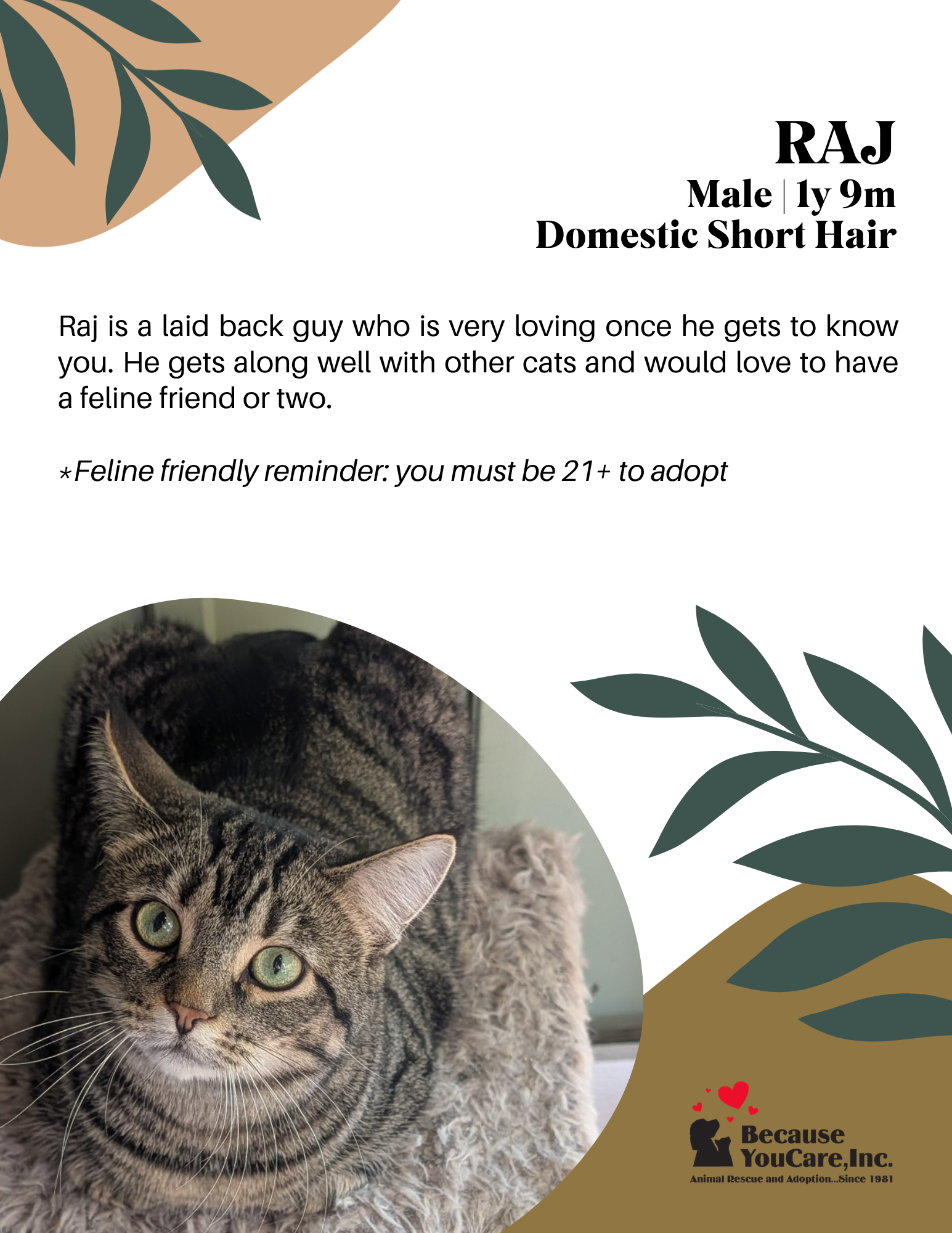 Click on the photo to head to the application page!