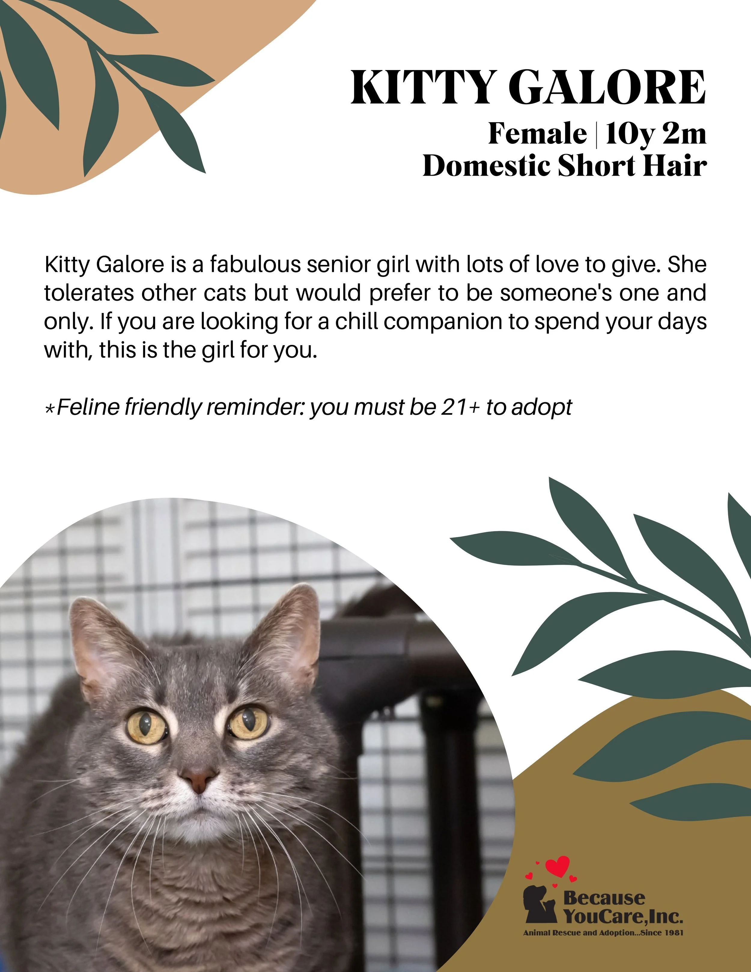 SPONSORED! Available for adoption - free to an approved home.