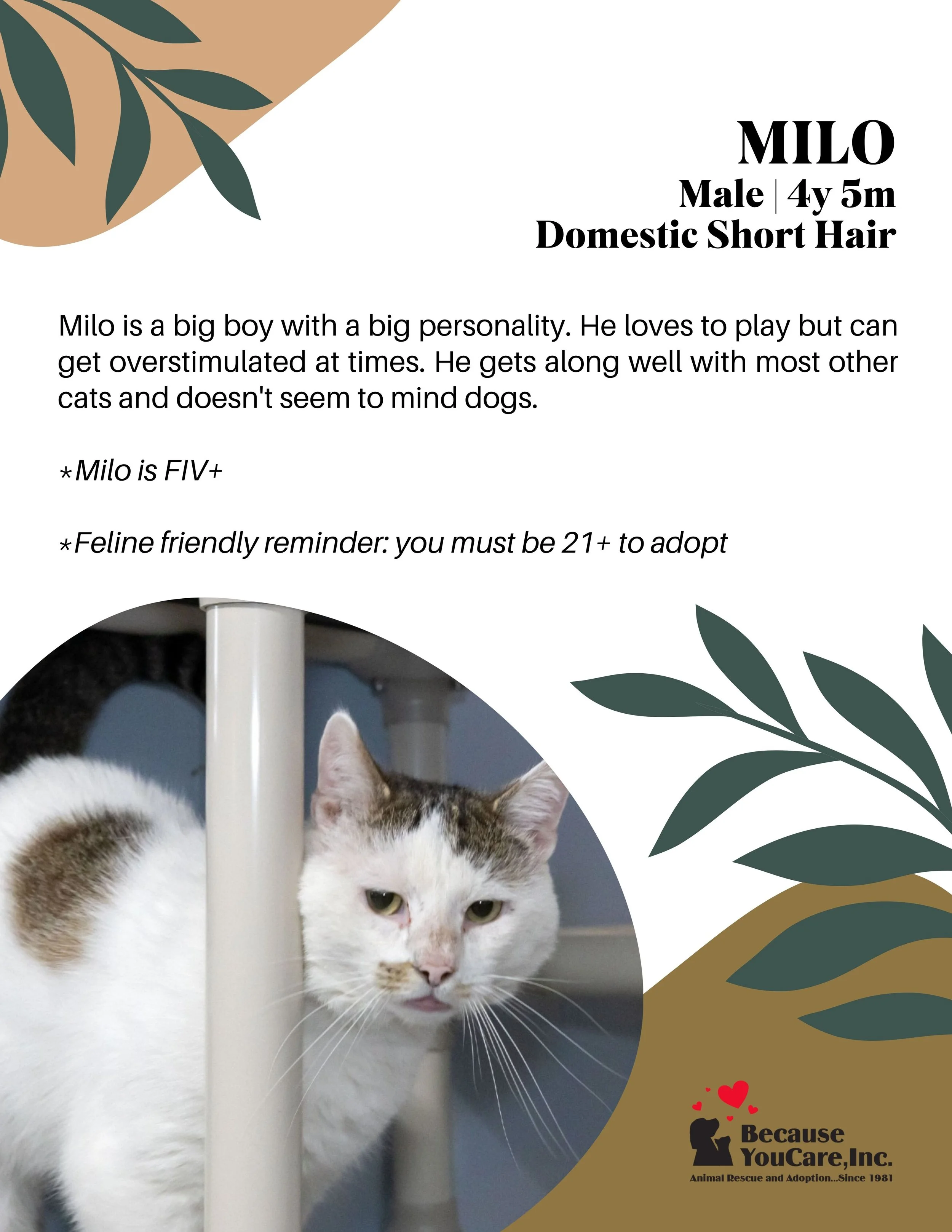 Click on the photo to head to the application page!