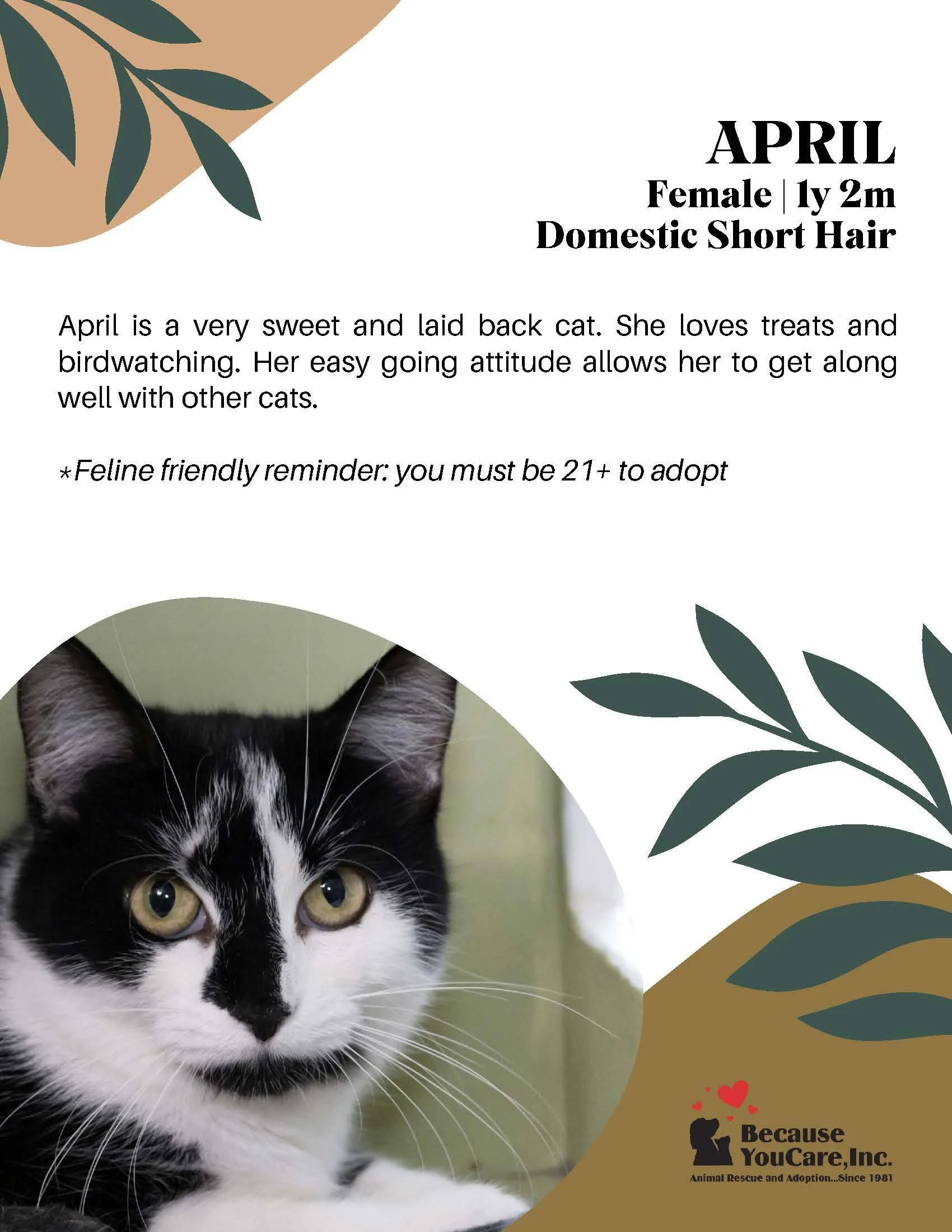 Adoption fee waived!