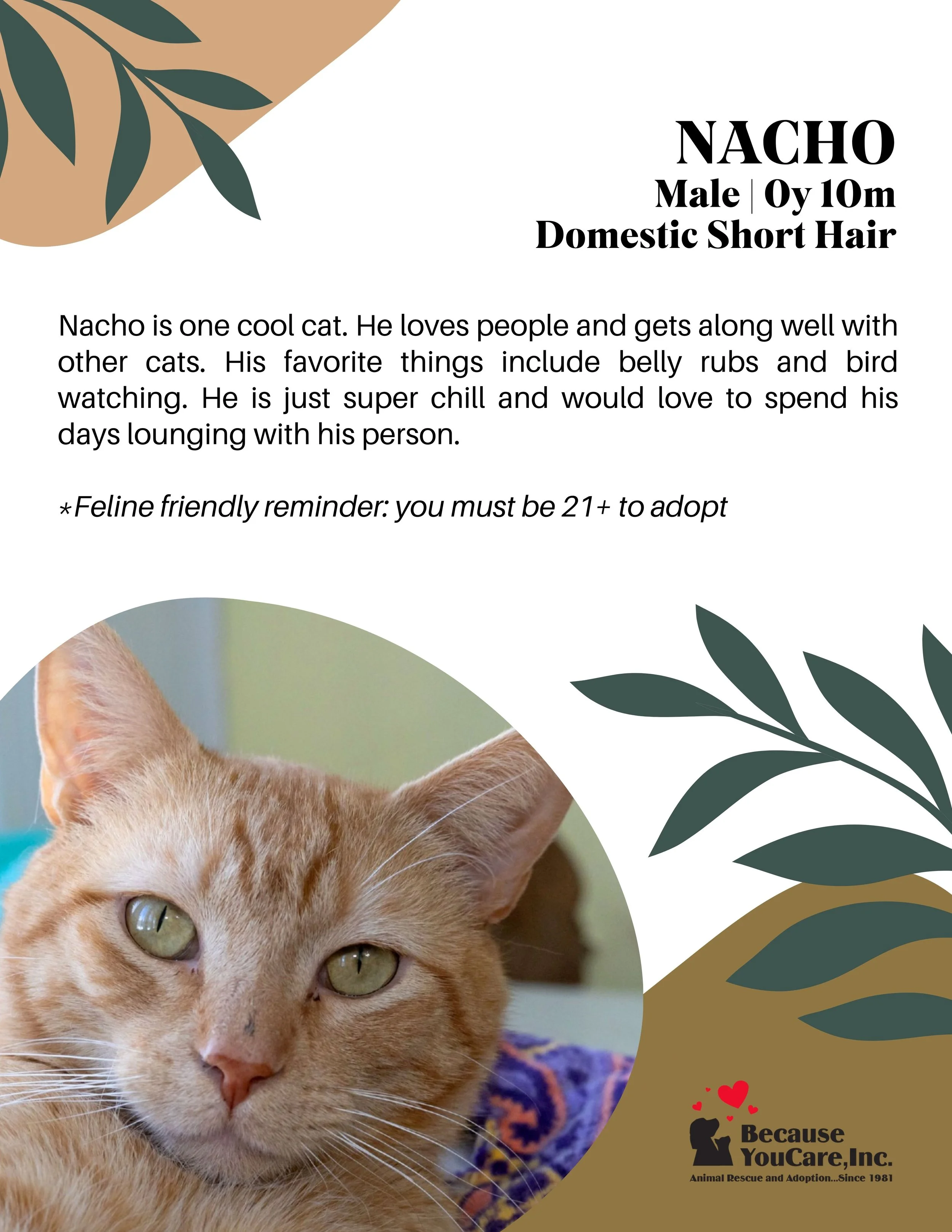 Click on the photo to head to the application page!