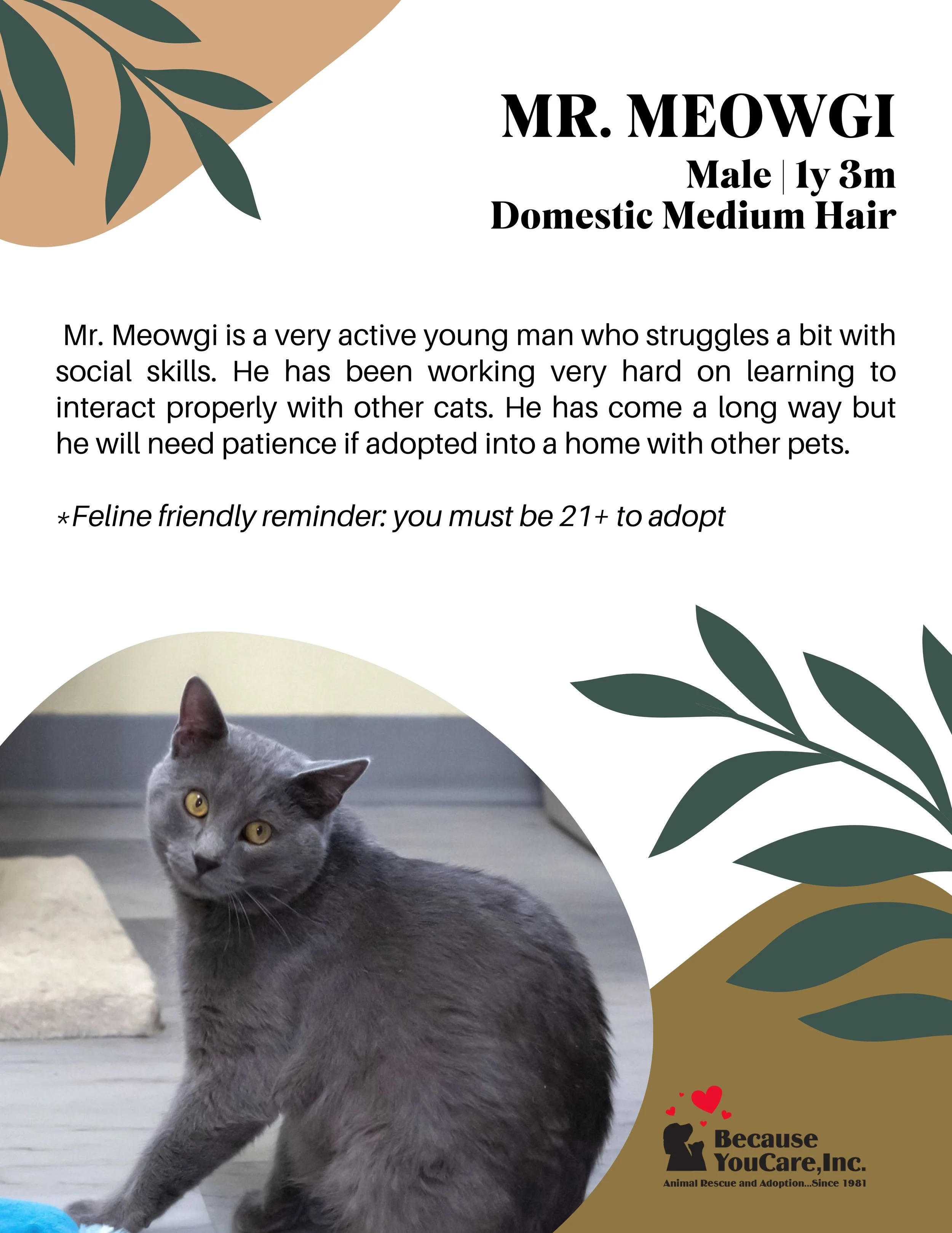 Click on the photo to head to the application page!