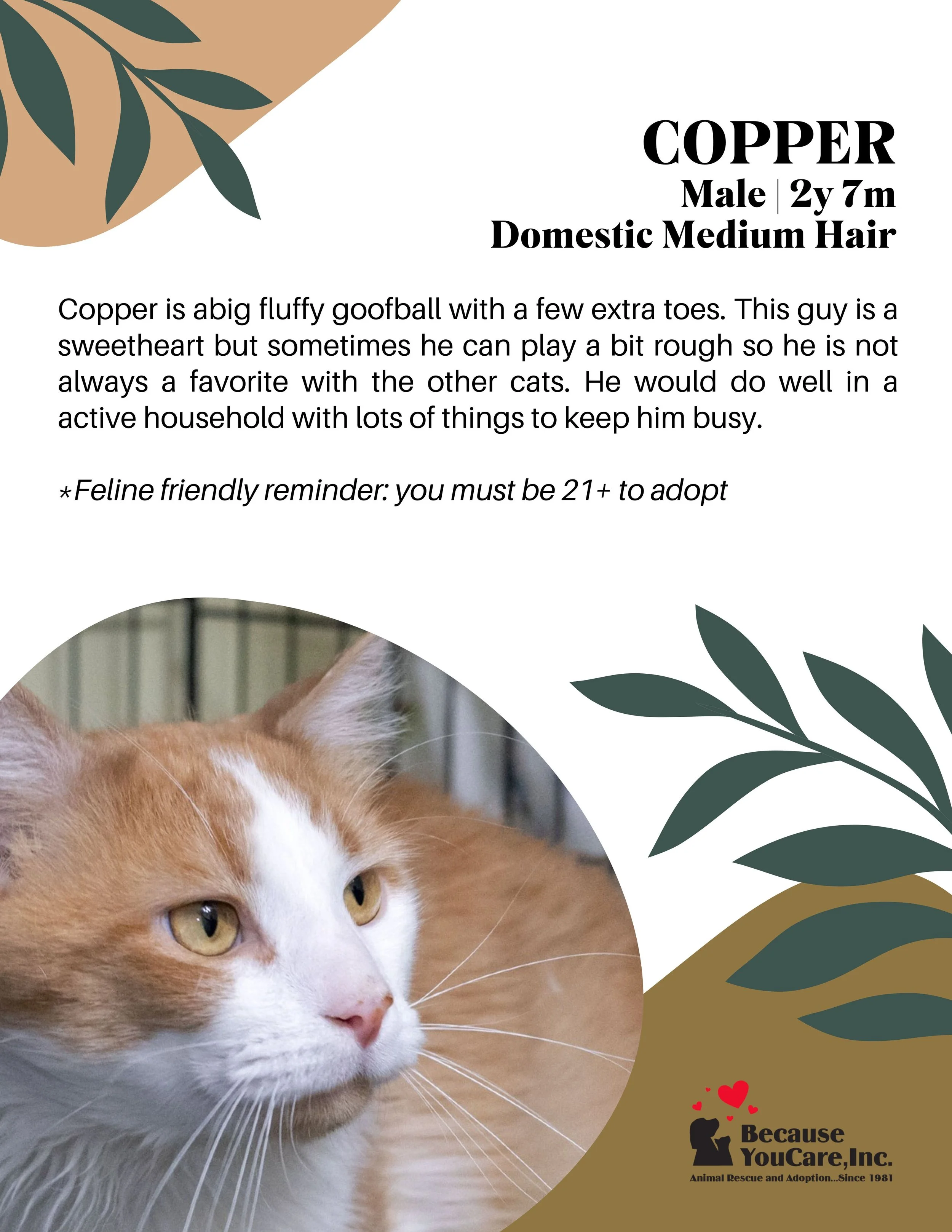 at BYC Cat Center currently :)