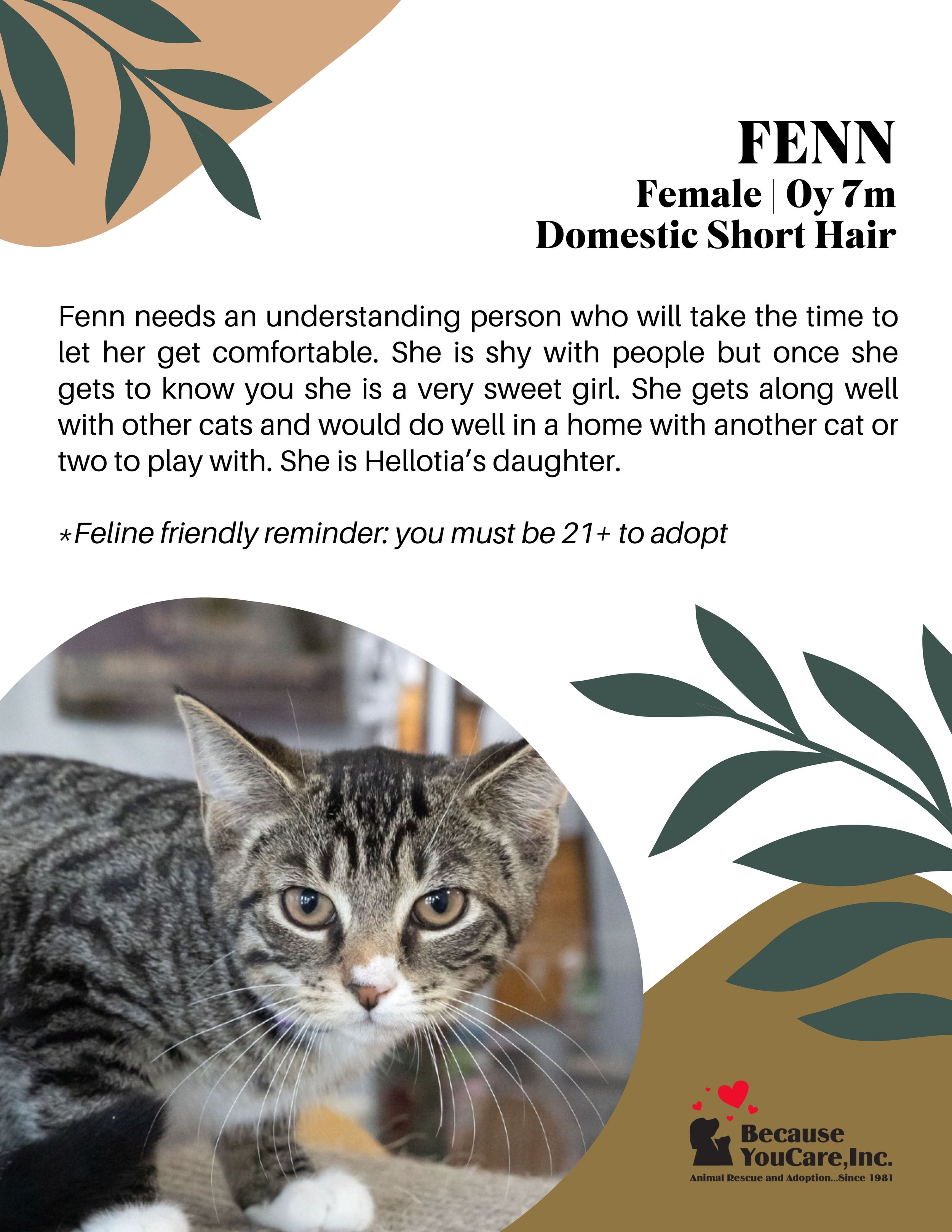 Click on the photo to head to the application page!