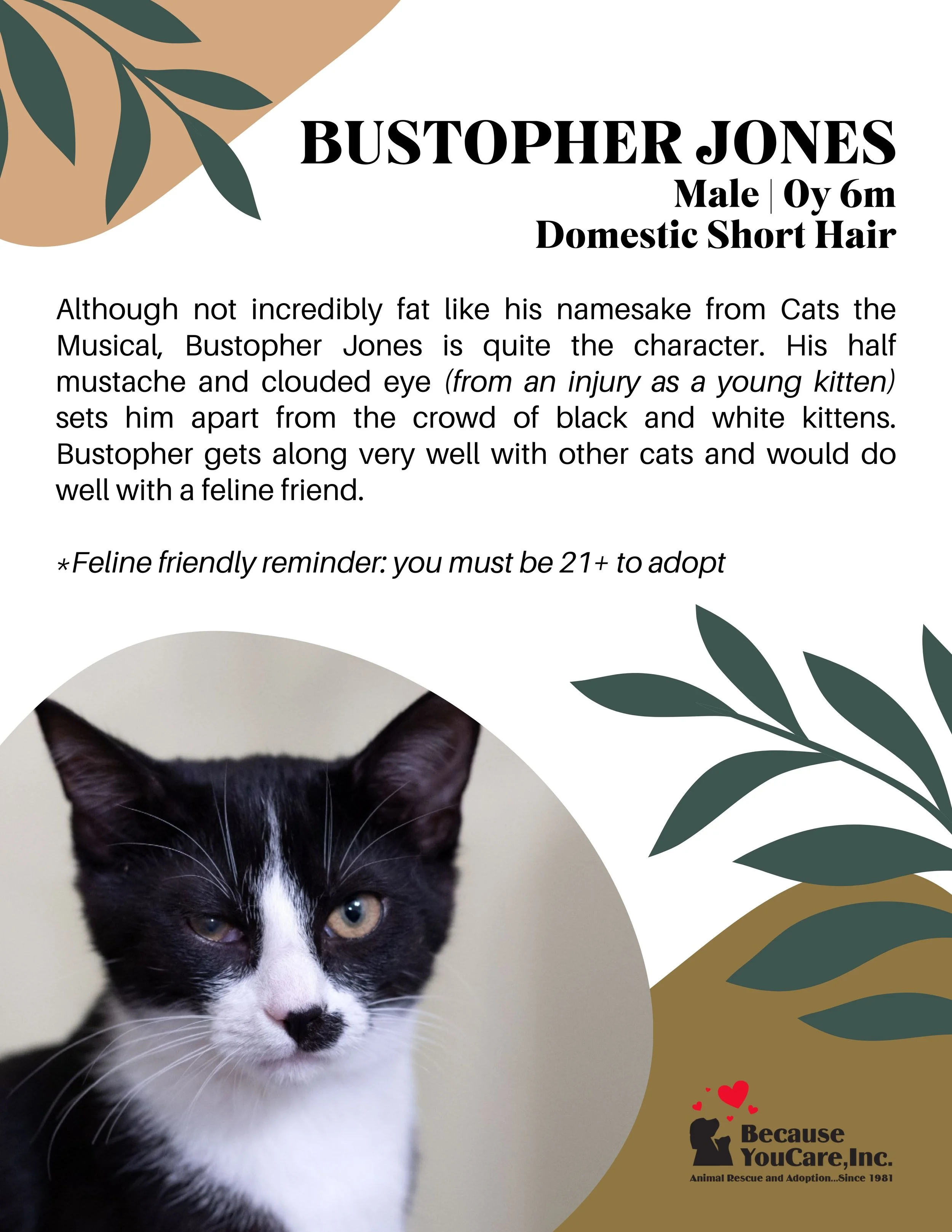 Click on the photo to head to the application page!