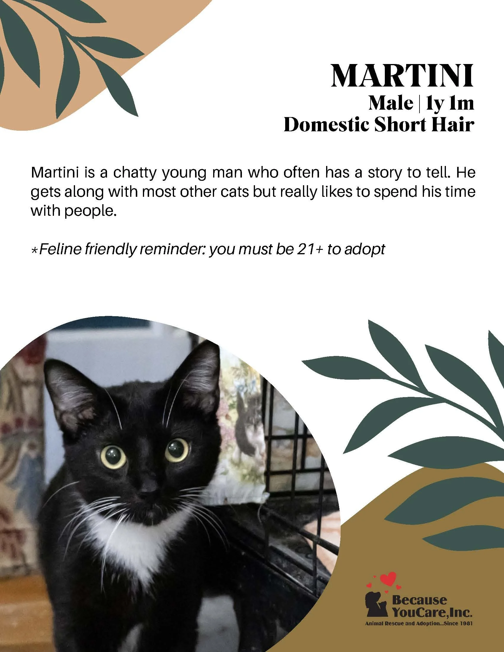Adoption fee waived!