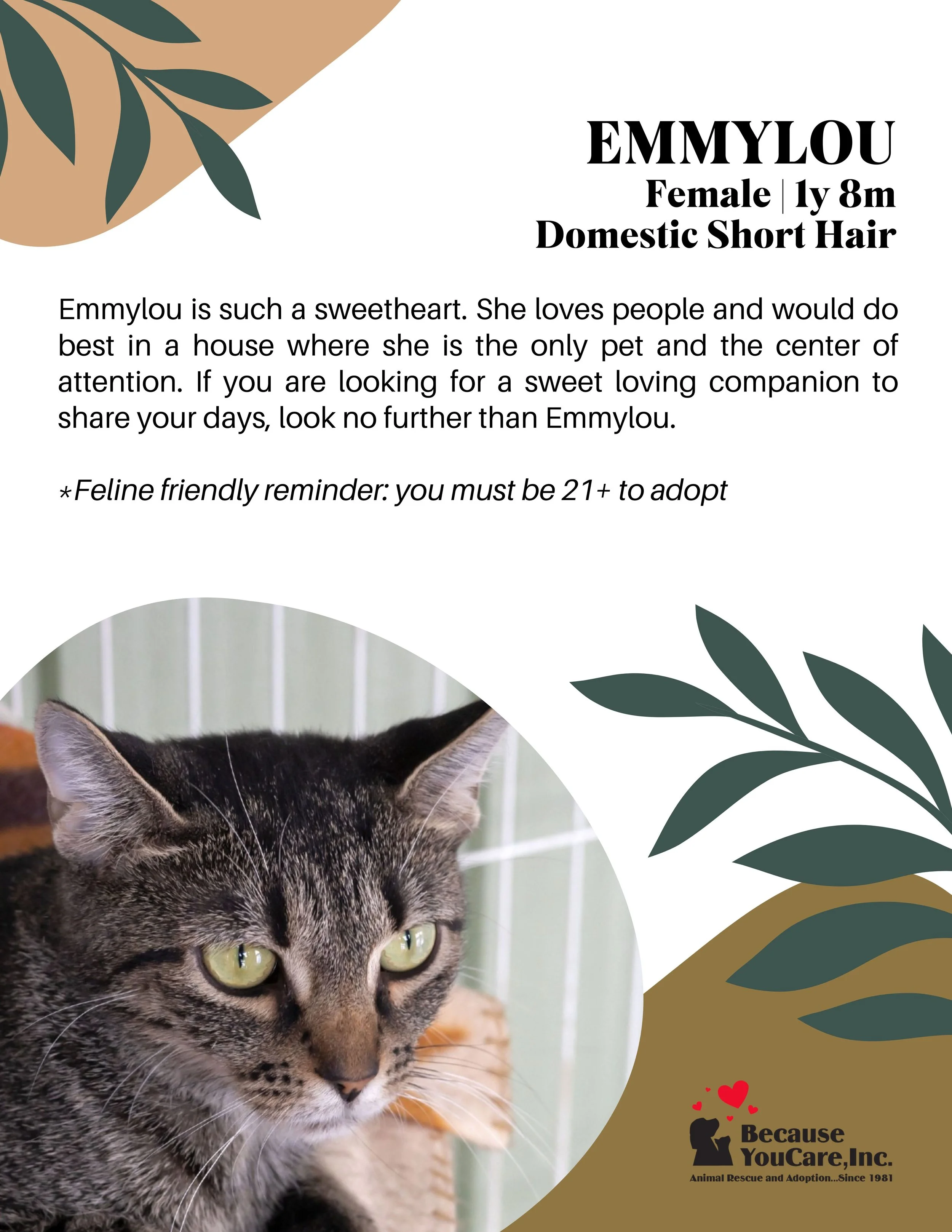 Click on the photo to head to the application page!