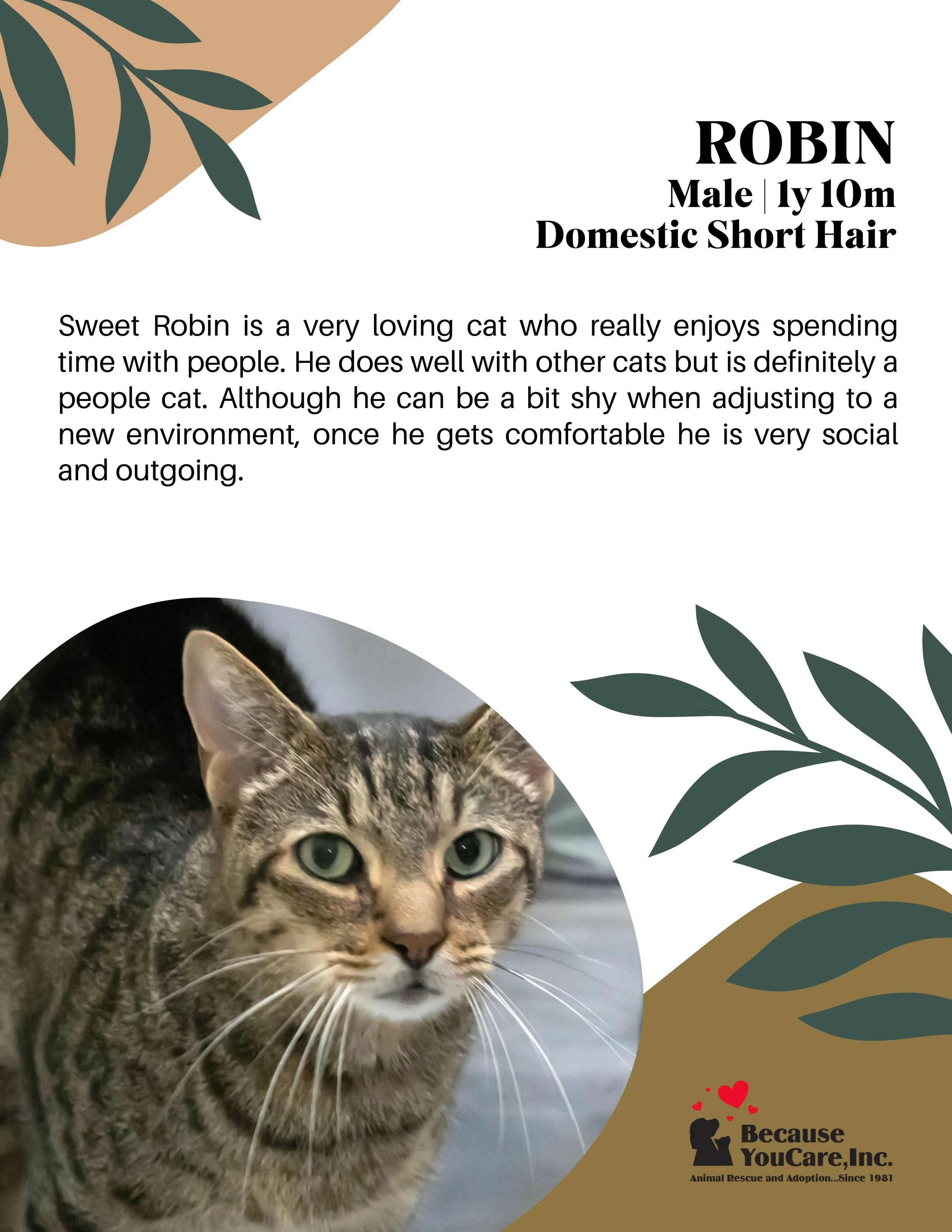 CLICK ON THE PHOTO TO VIEW THE ADOPTION PAGE!