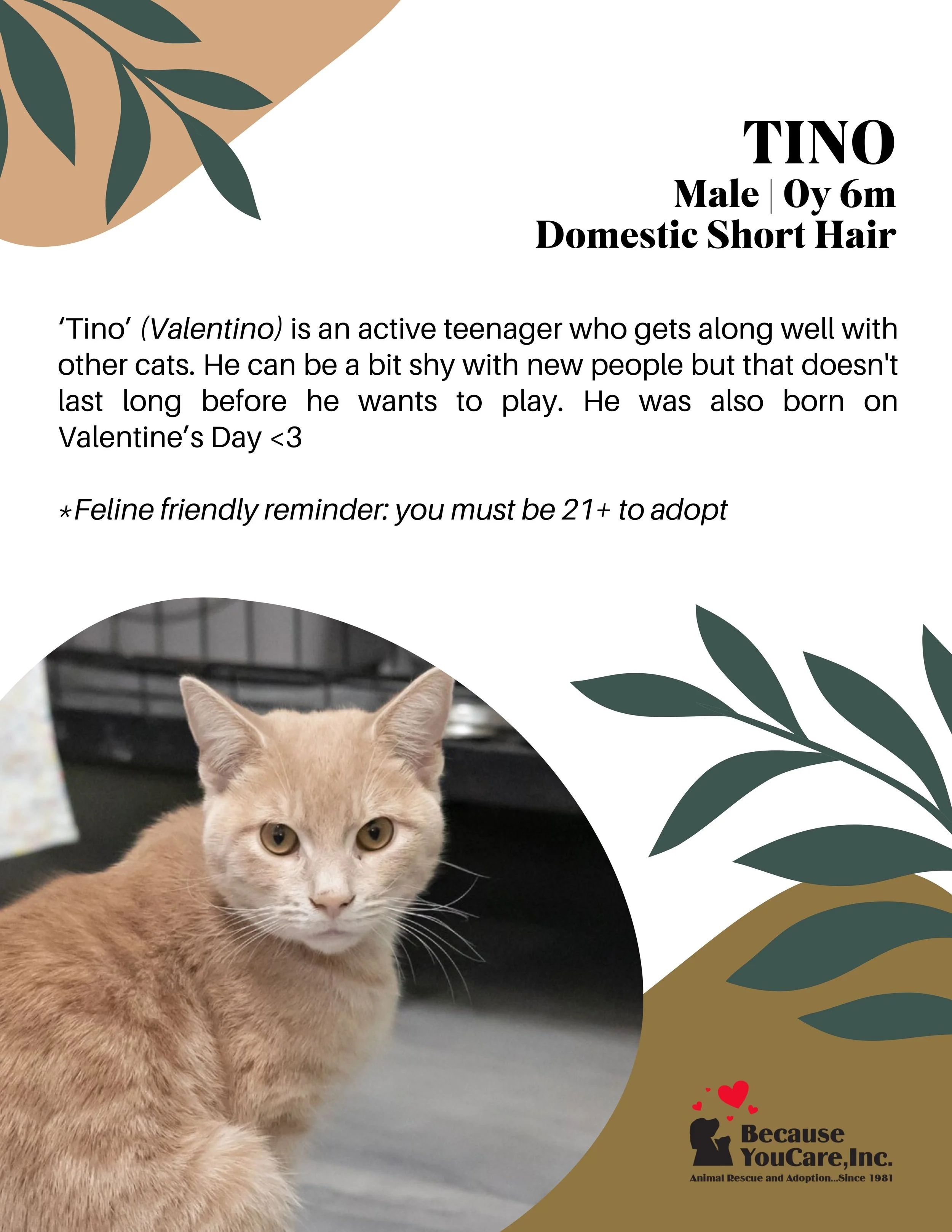 Click on the photo to head to the application page!