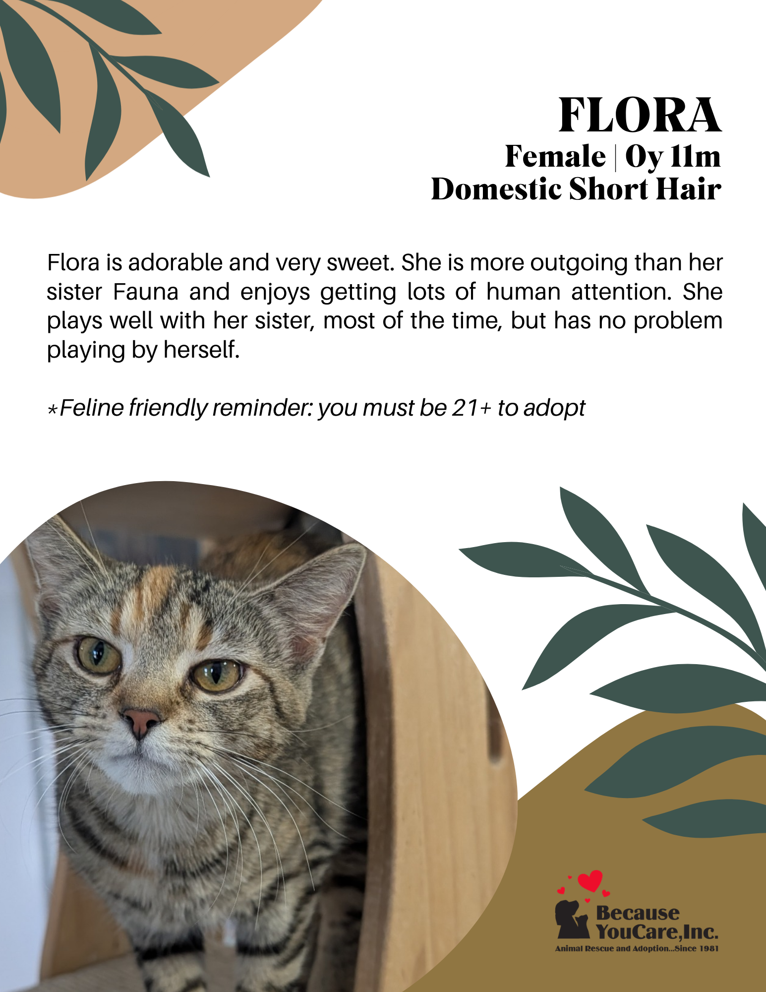 CLICK ON THE PHOTO TO VIEW THE ADOPTION PAGE!