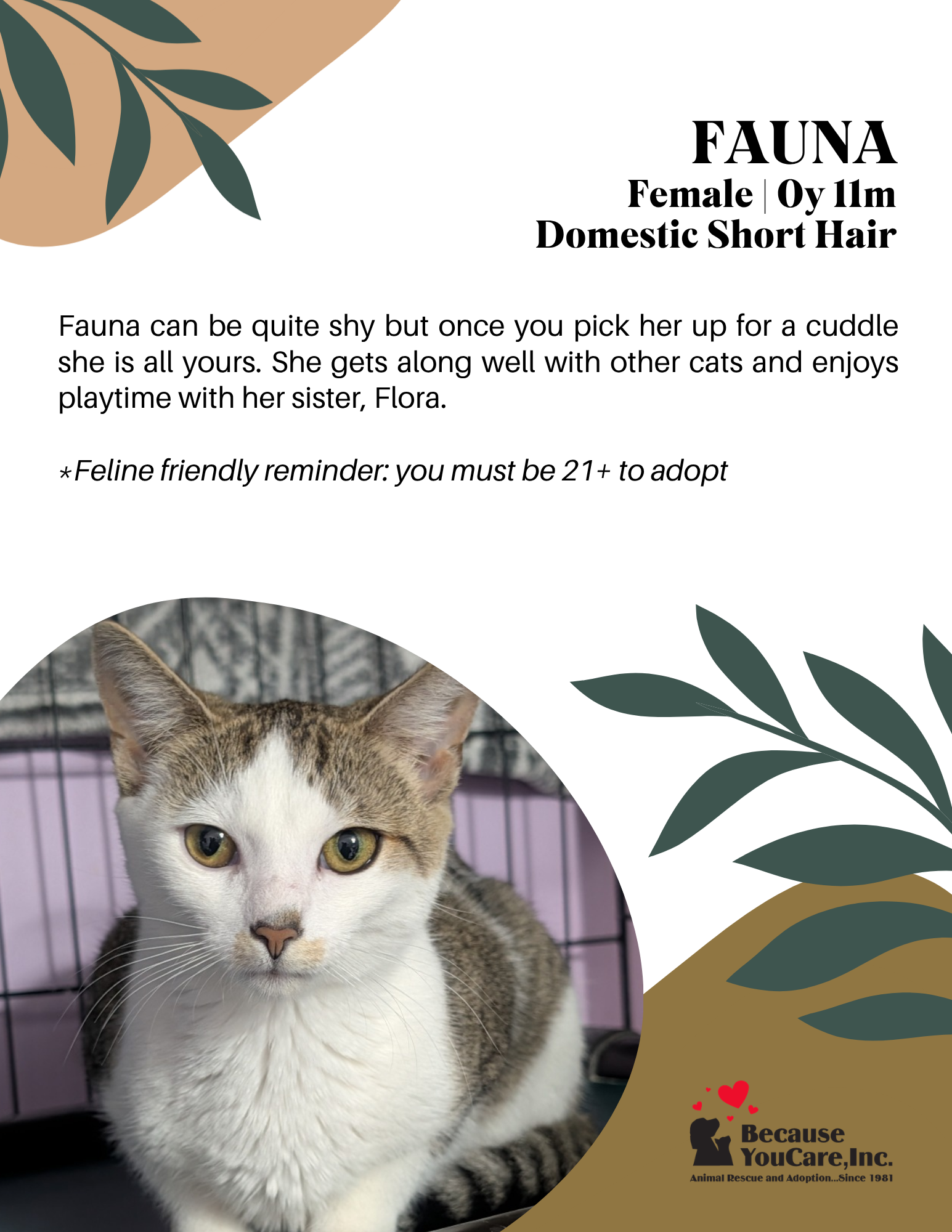 CLICK ON THE PHOTO TO VIEW THE ADOPTION PAGE!
