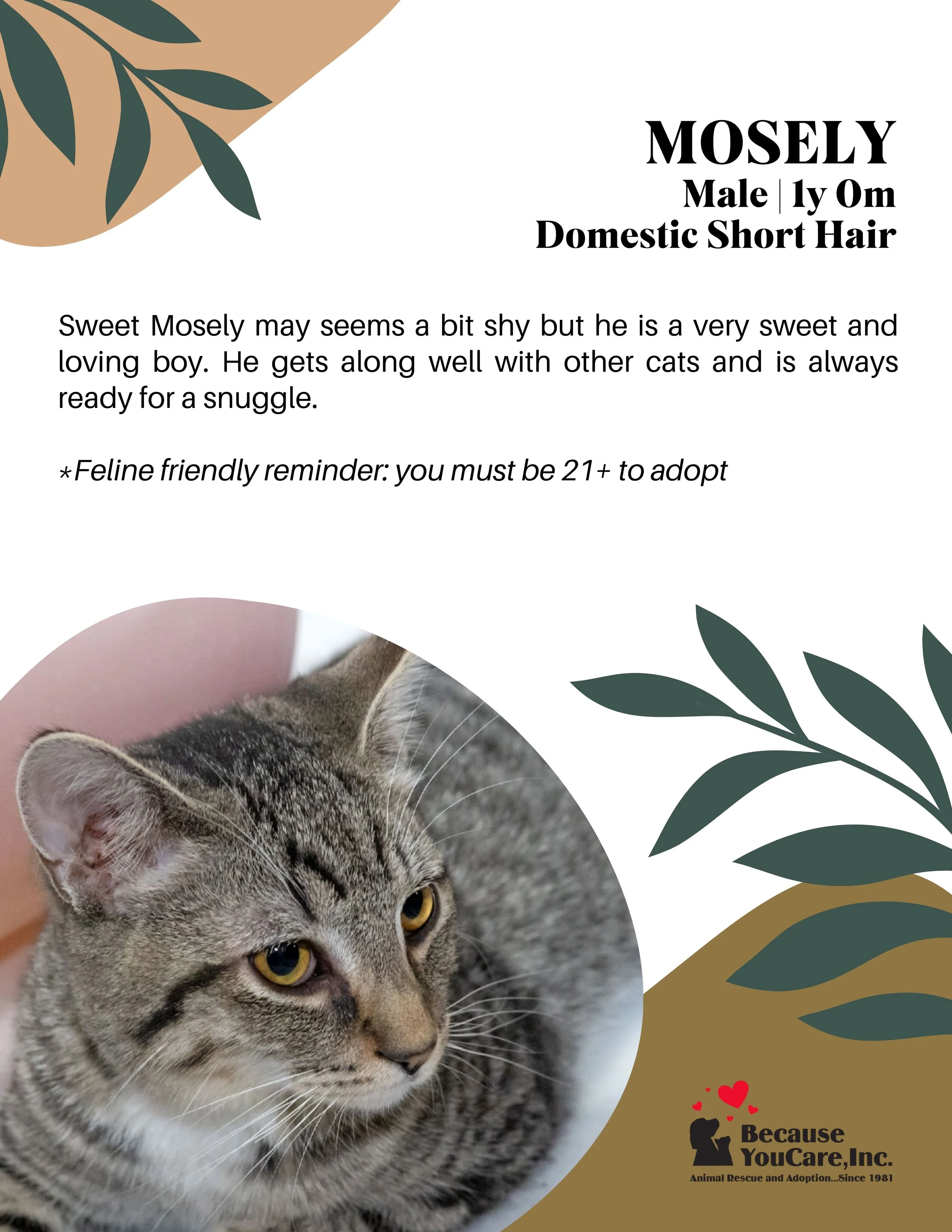 Click on the photo to head to the application page!