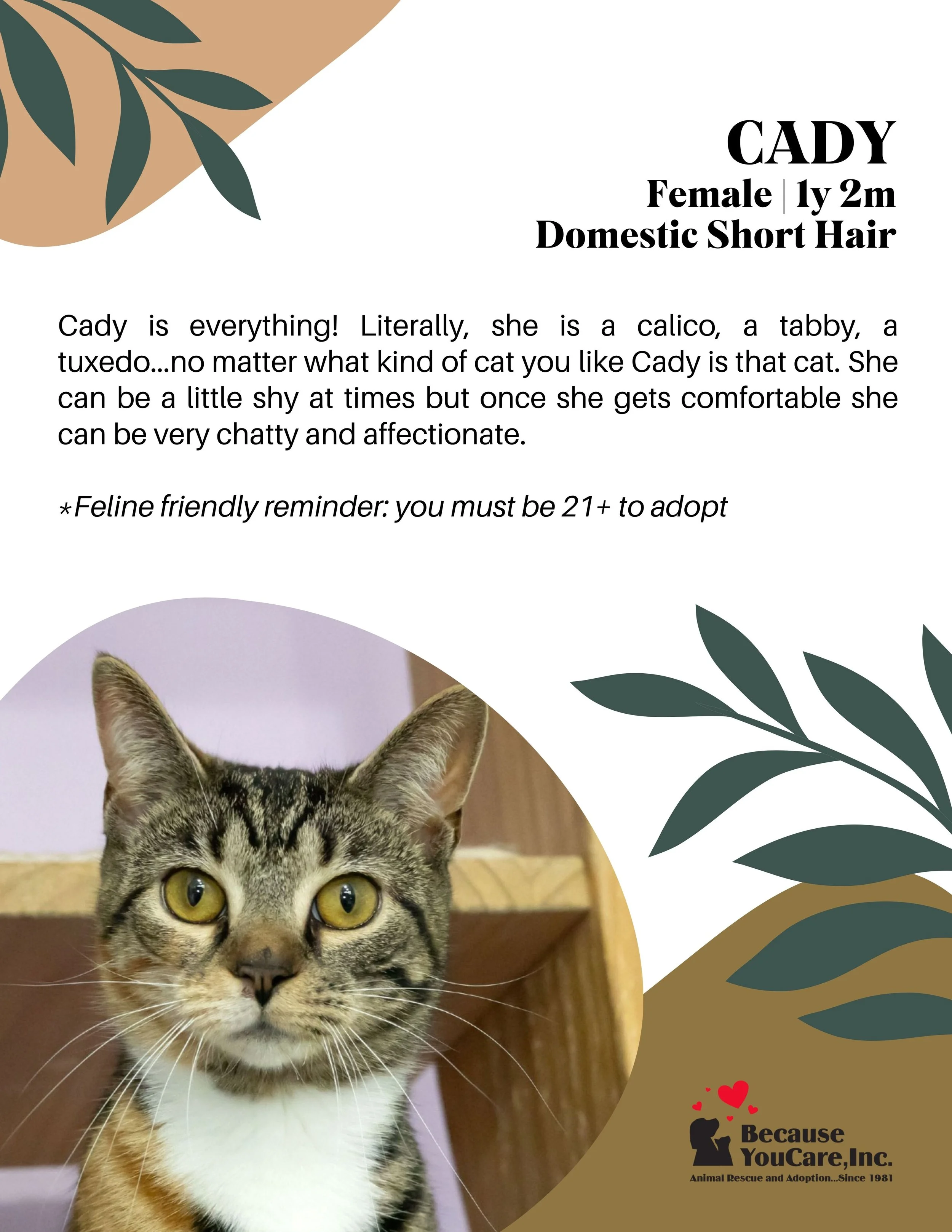 Adoption fee waived!