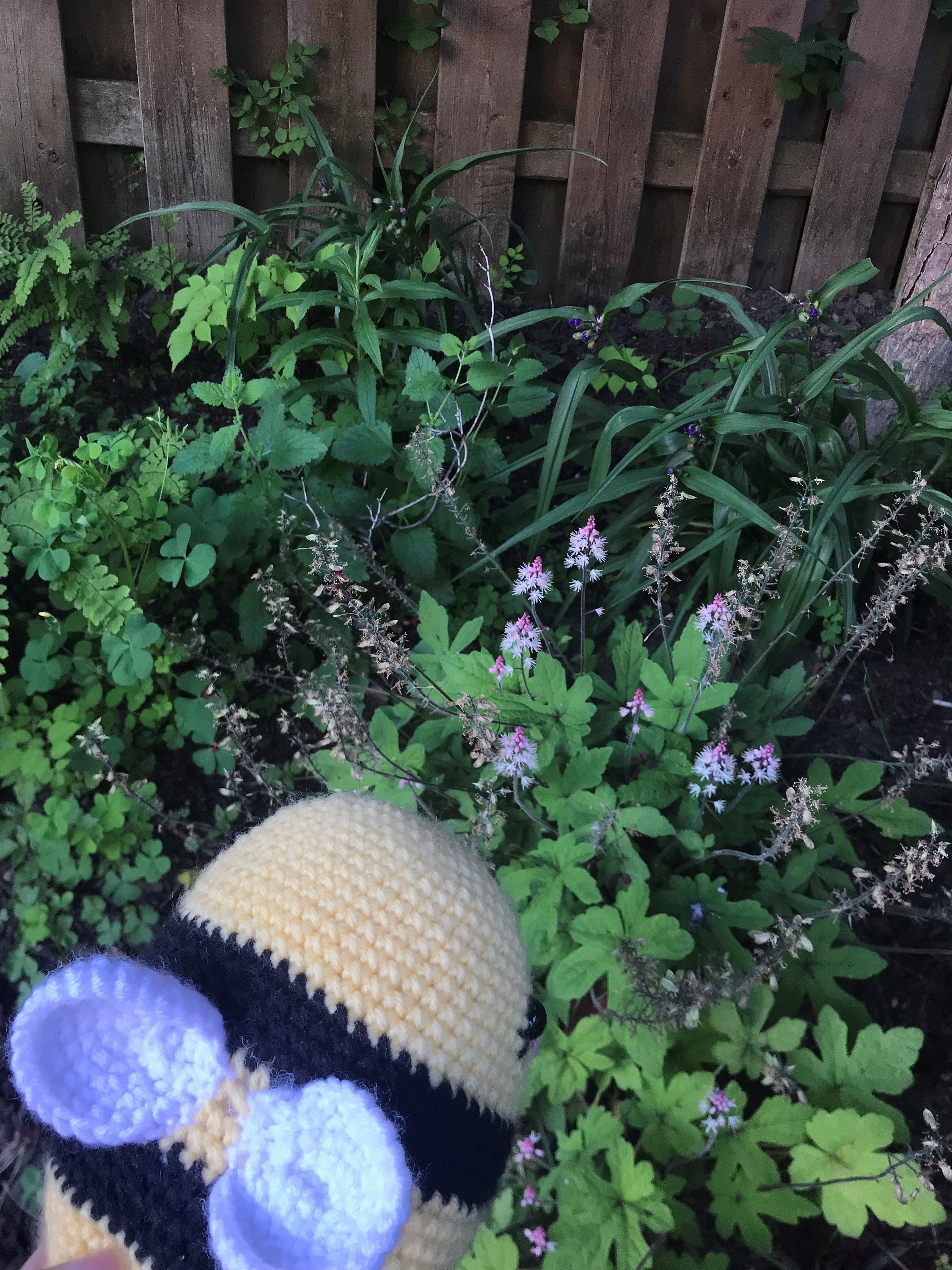 https://i.etsystatic.com/30462349/r/il/210391/3212654327/il_fullxfull.3212654327_p6ed.jpg