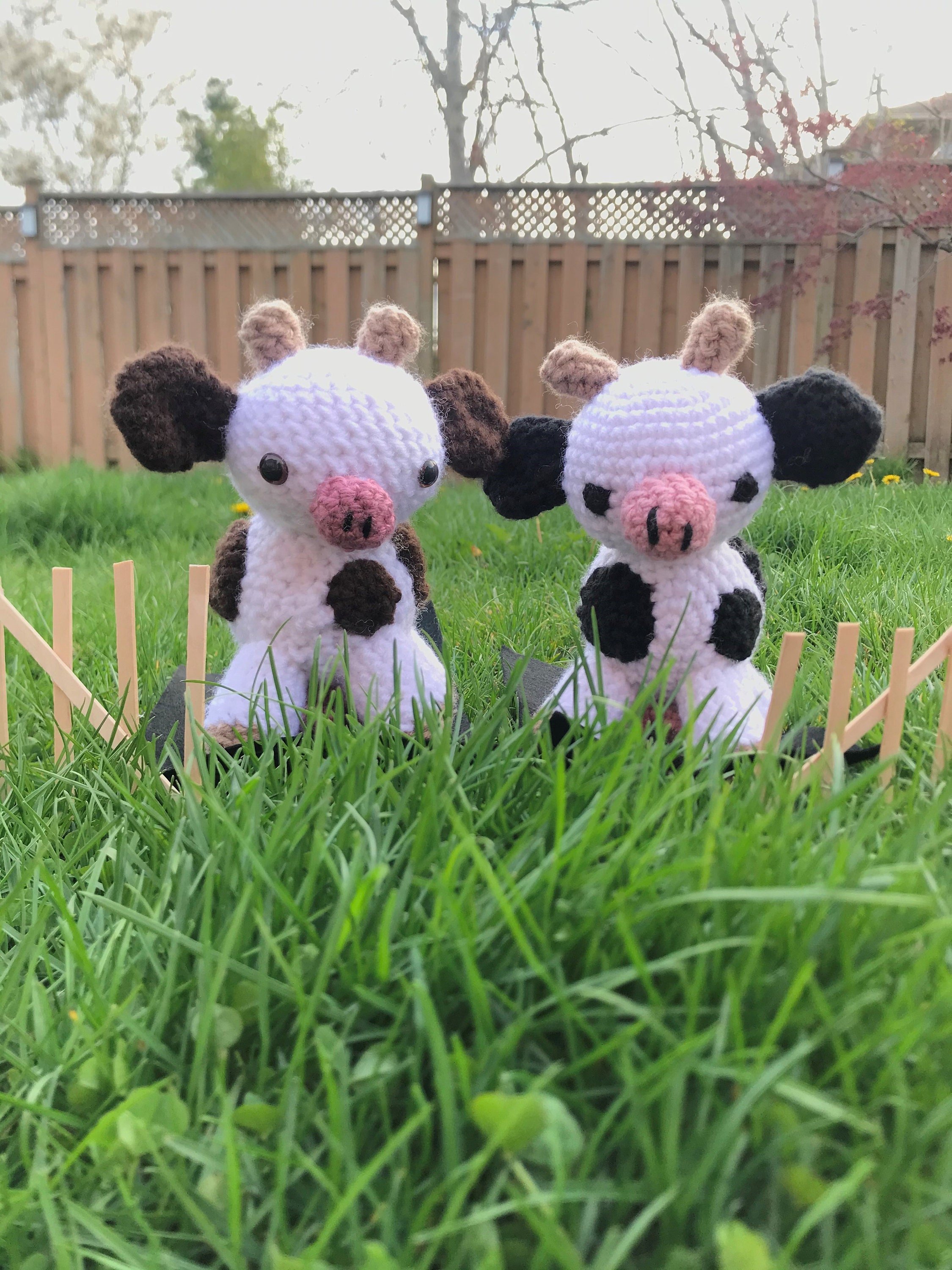 https://i.etsystatic.com/30462349/r/il/d6e939/3164815172/il_fullxfull.3164815172_pkoi.jpg