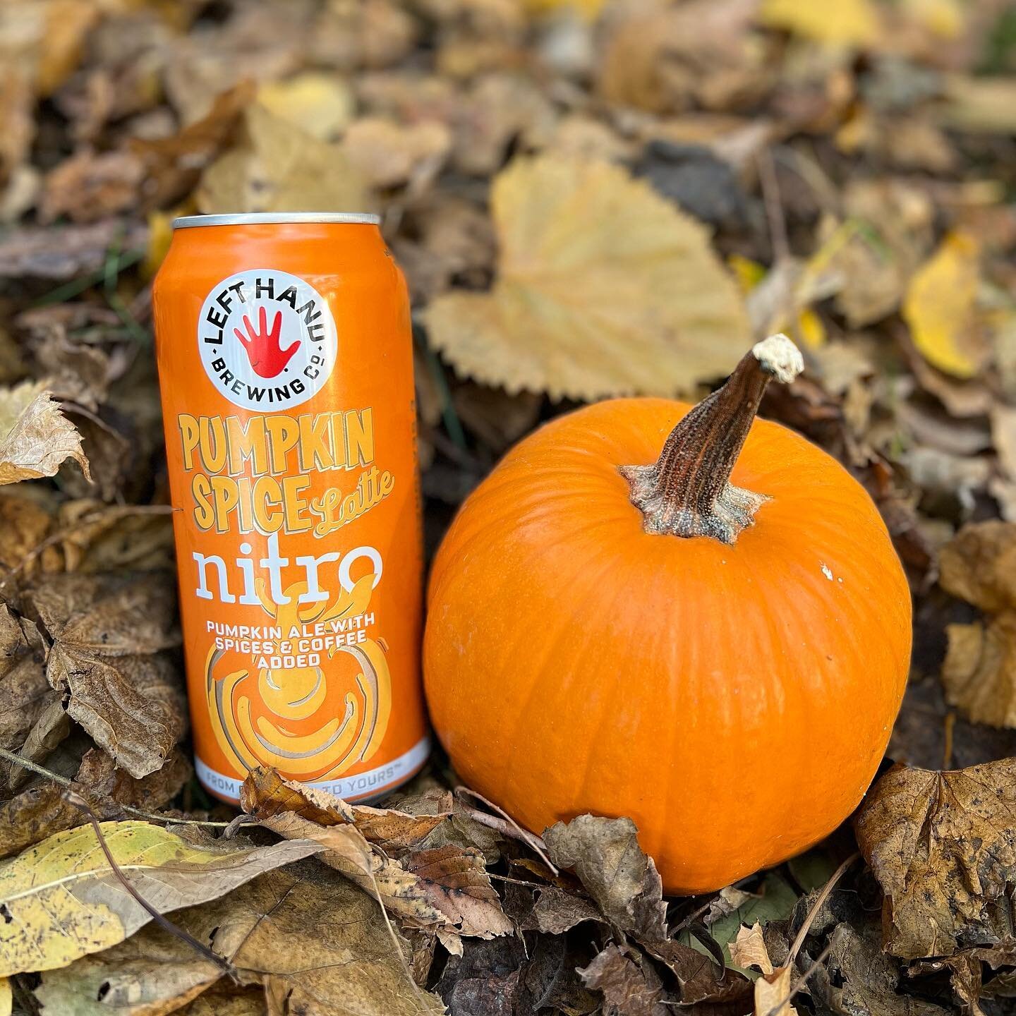 Pumpkin anyone? 🎃 We&rsquo;re gearing up for Halloween the best way we know how - with pumpkin beer! This nitro from @lefthandbrewing is incredibly smooth and would be the perfect spooky brew for the upcoming weekend. 👻