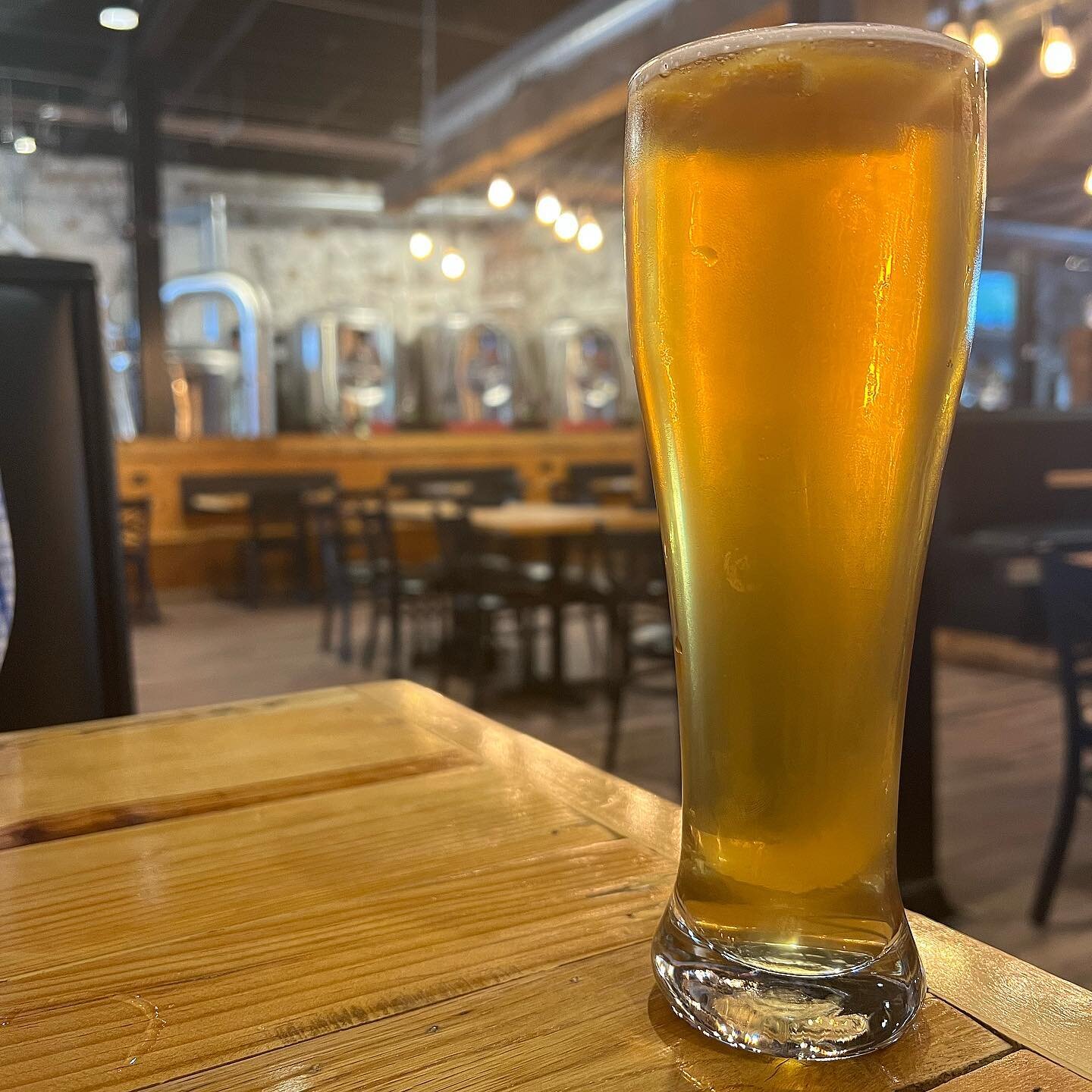 Tall boy Thursday 🤪 If you like a #BlueMoon, you&rsquo;ll love the Mt. Bleu Belgian by @black_stag_brewery. Brewed with orange peel and Belgian rock candy, this beer is the perfect combination of spices and orange. Read more about this brew and othe