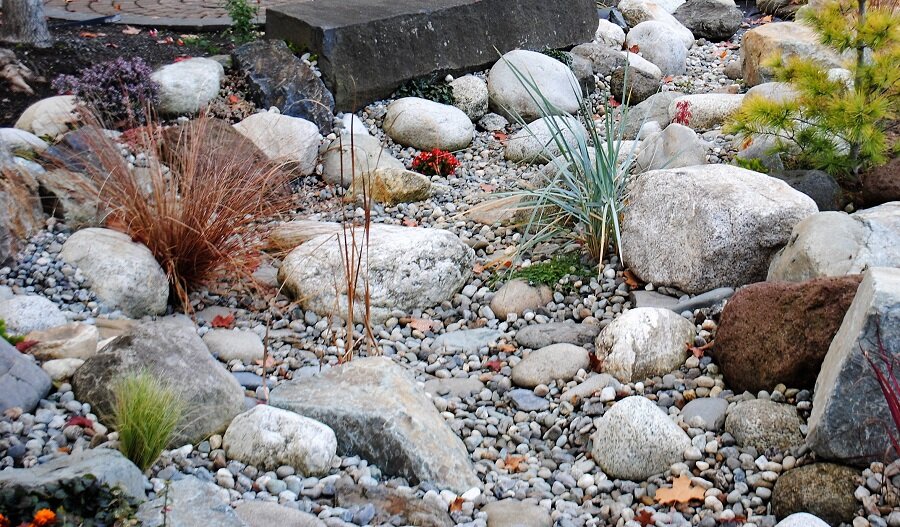 Dry Stream Bed