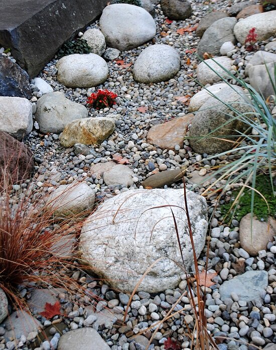 River Rocks And Rainbow Pebbles