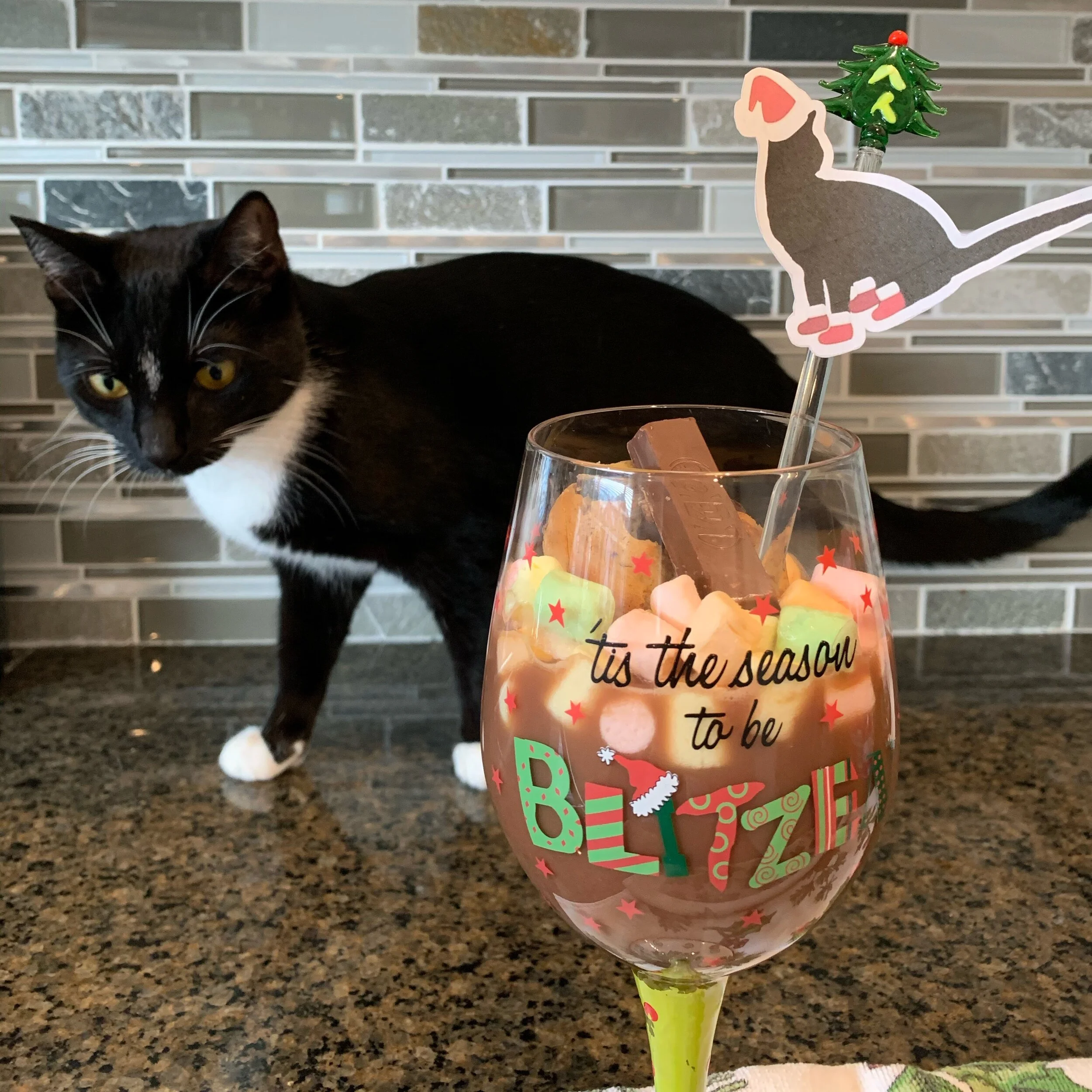 Wrapping Up Our Pawliday Content Release!